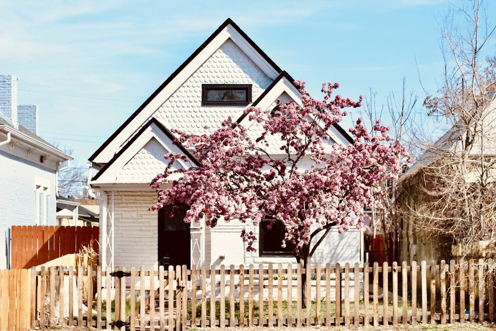 a white house with a tree in front of it