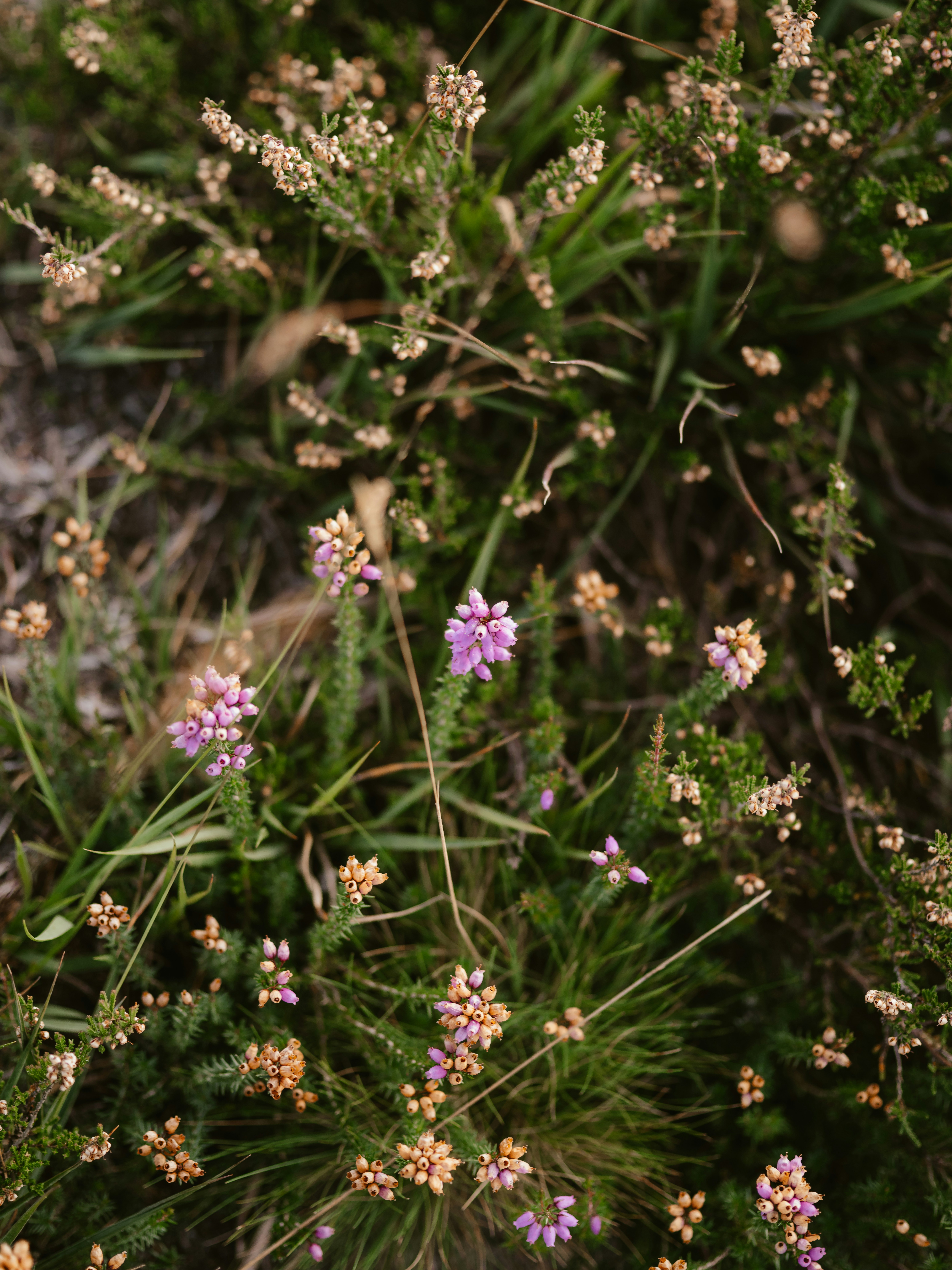 Photo by anniespratt