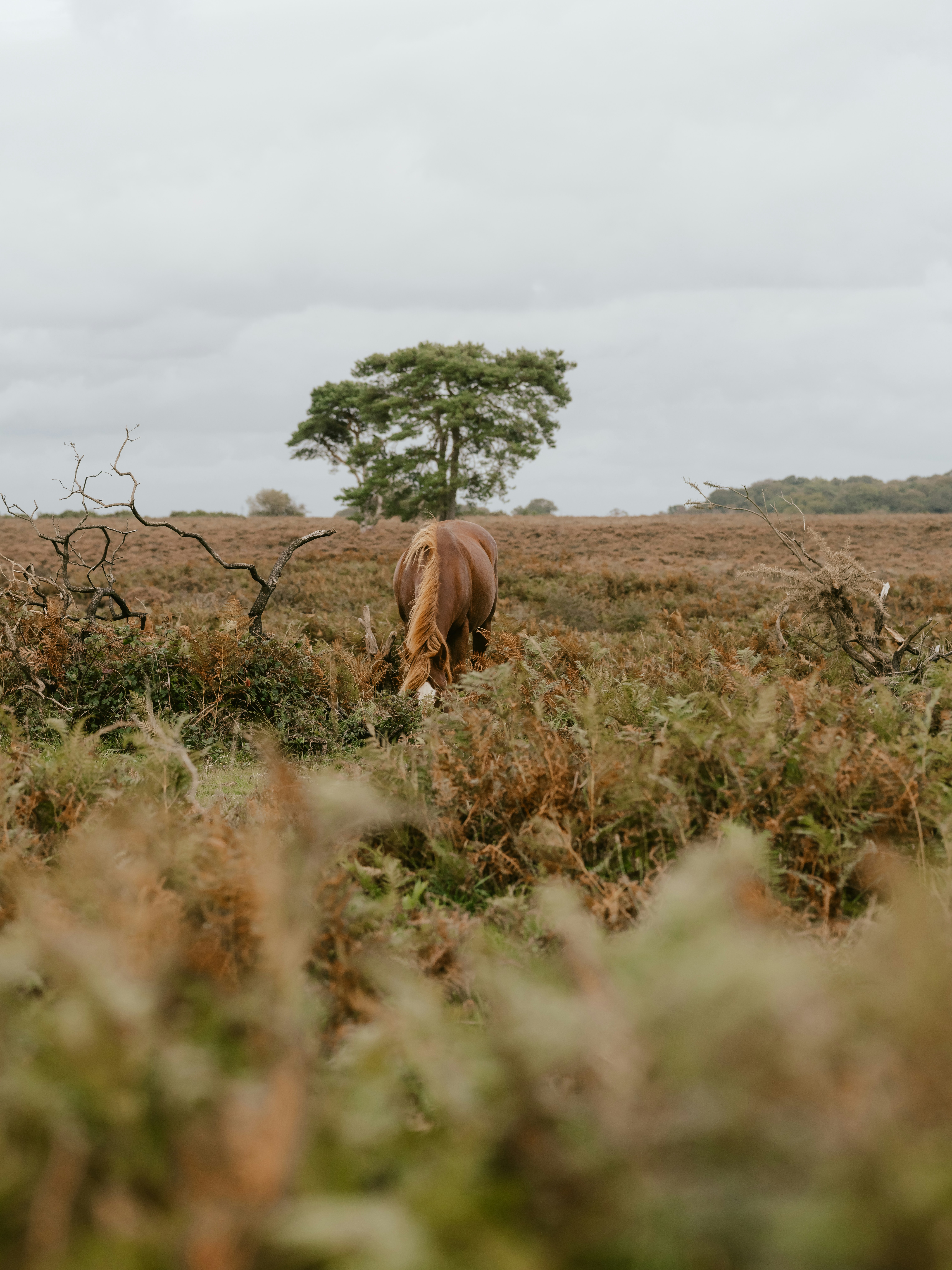 Photo by anniespratt