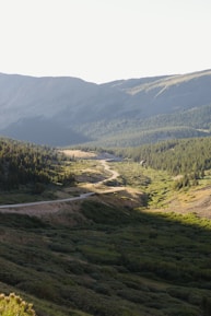 A winding mountain road disappearing into the vibrant green forests under a clear blue sky.