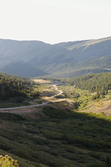 A peaceful mountain road winding through lush greenery under a clear blue sky.