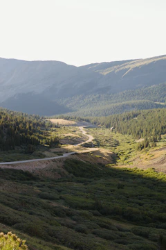 A peaceful mountain road winding through lush greenery under a clear blue sky.