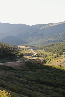 A winding mountain trail surrounded by lush green forests under a clear blue sky.
