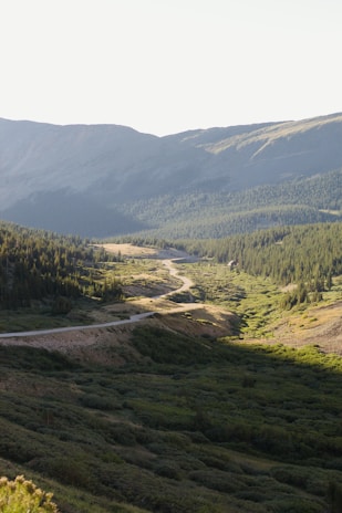 A scenic snapshot of a winding mountain road disappearing into a lush green valley under a clear blue sky.