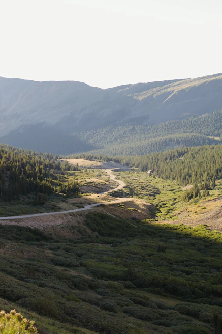 A winding mountain trail cutting through lush green forests under a clear blue sky