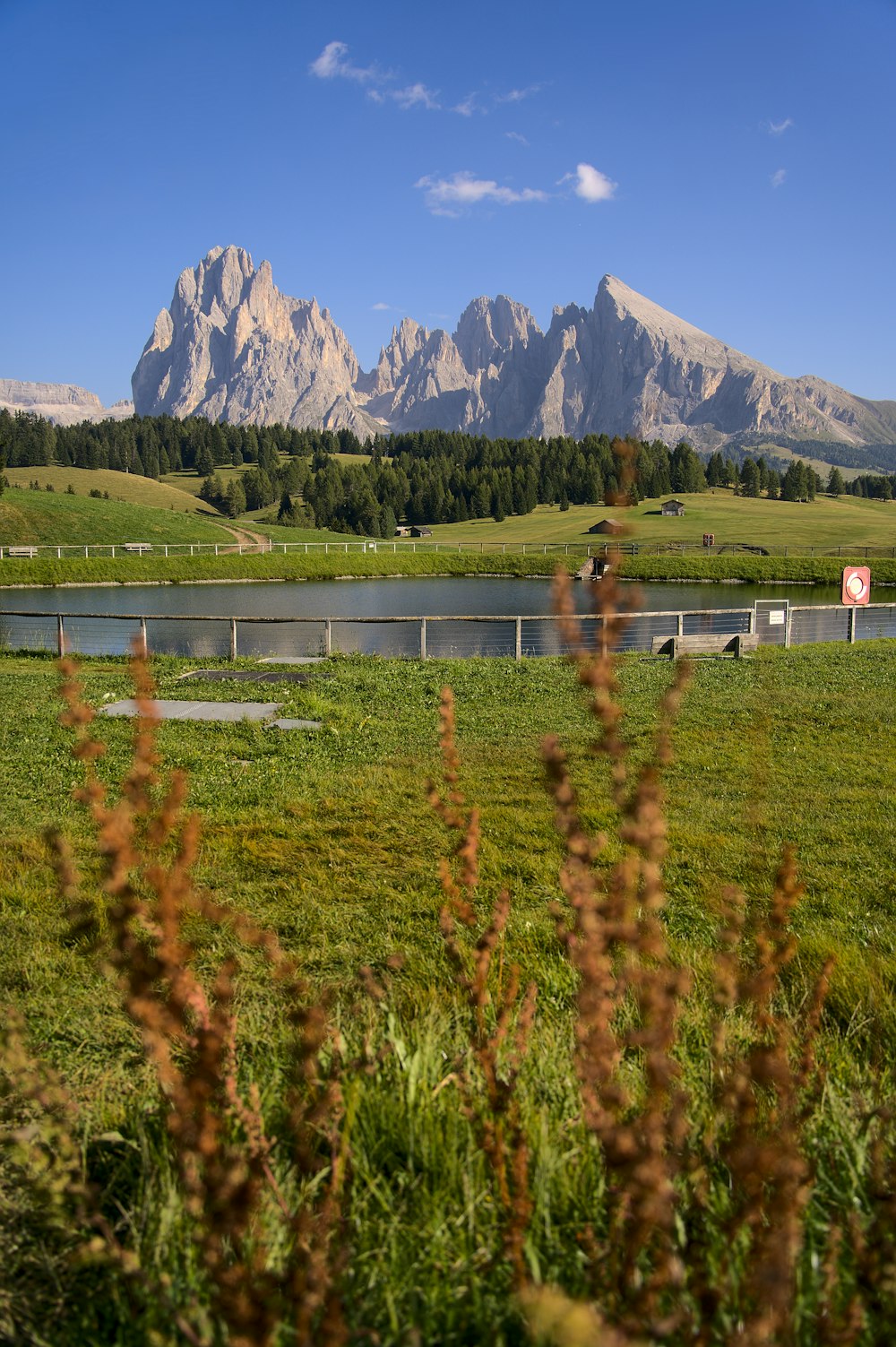 a grassy field with mountains in the background