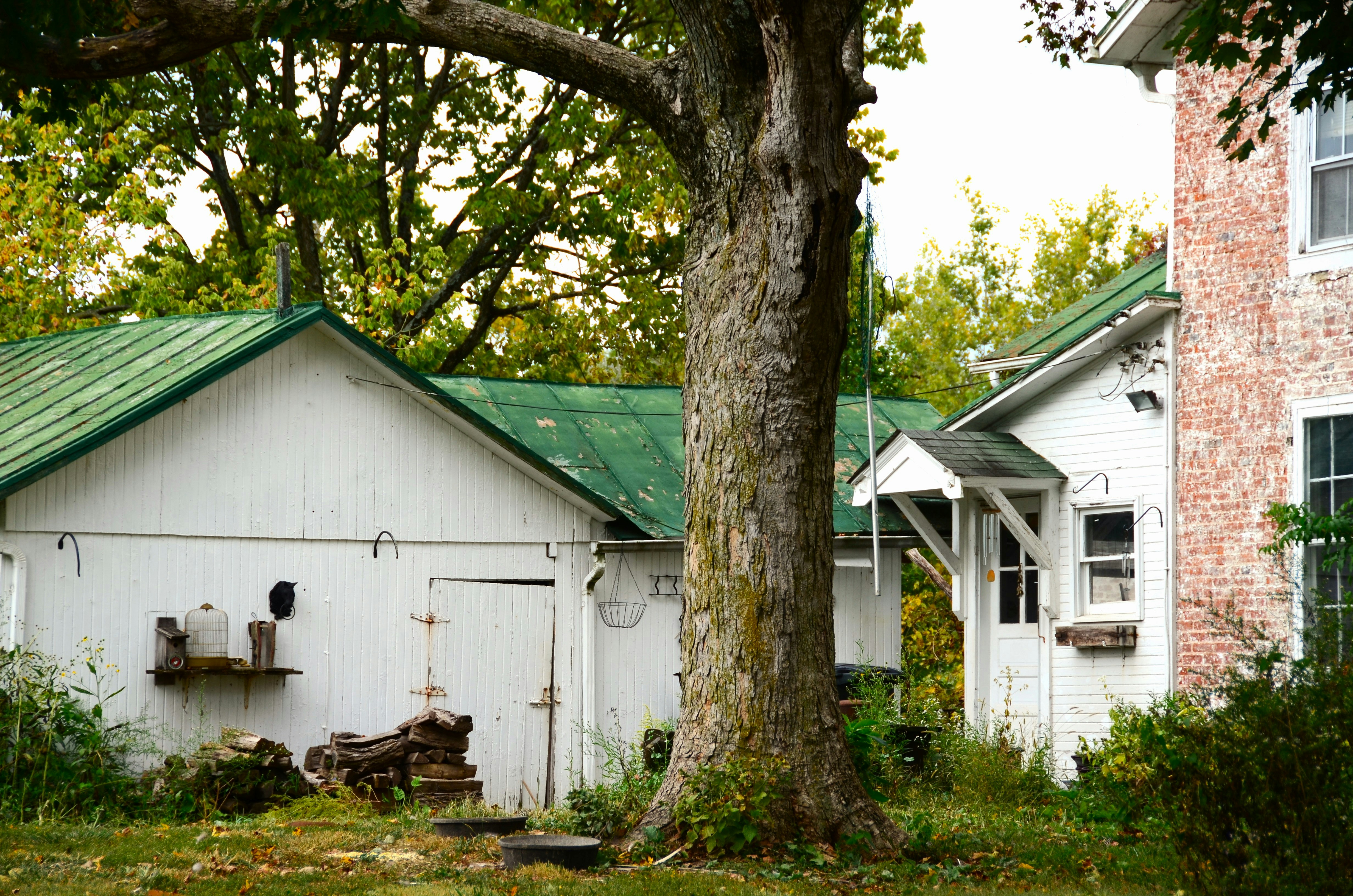 a white house with a green roof next to a tree