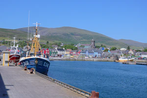 Dingle