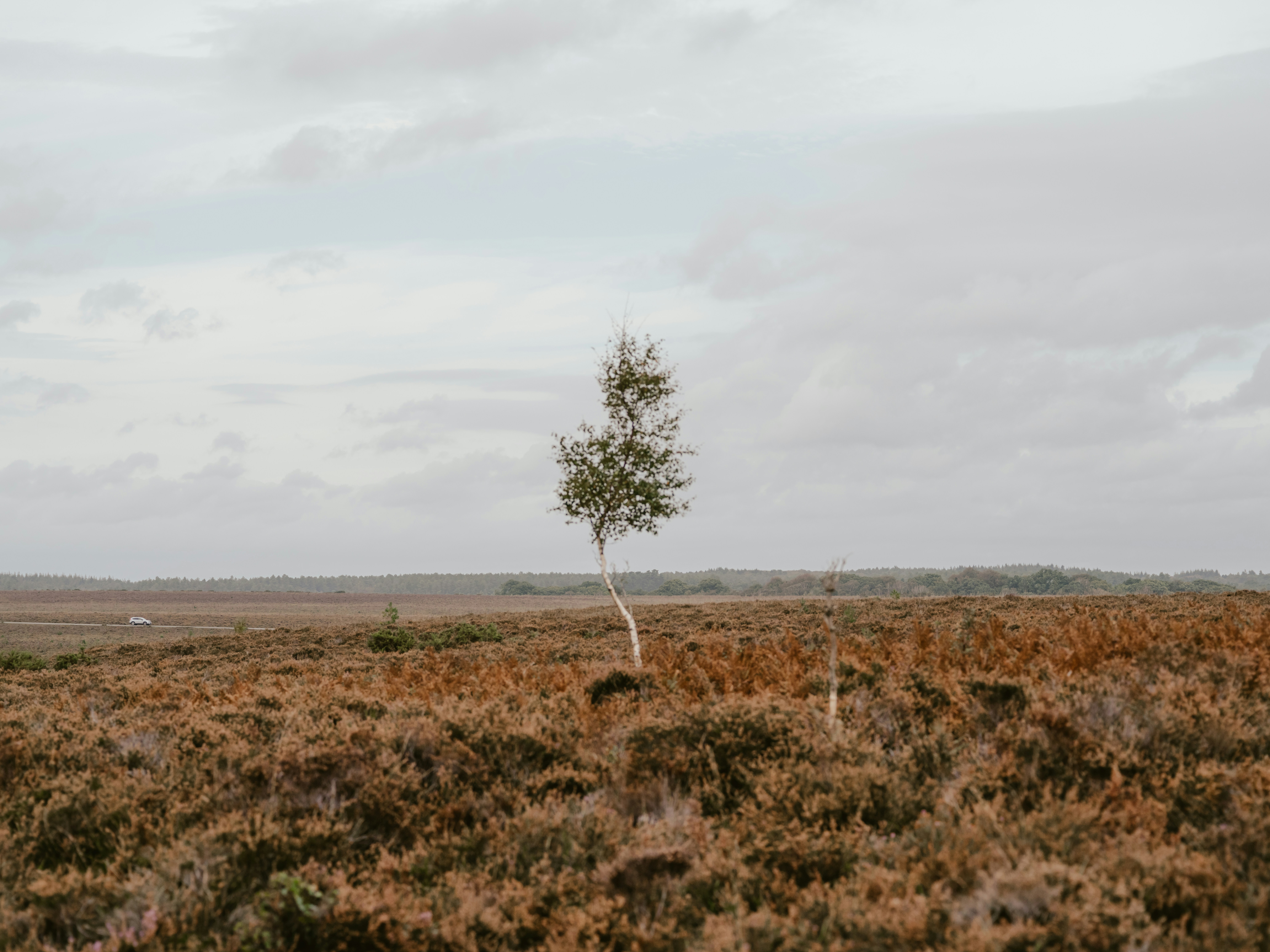 Photo by anniespratt