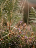 Close-up of colorful local flora and fauna flourishing in the protected basin.