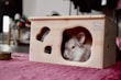 A stylish small animal cage with playful toys and soft bedding inside