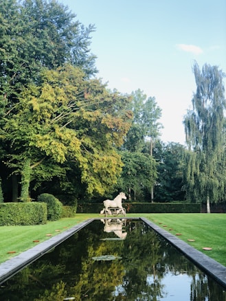 A serene garden scene with a reflective water feature, bordered by neatly trimmed green grass and trees in the background. A white horse sculpture stands at one end of the water, creating a balanced and peaceful atmosphere.