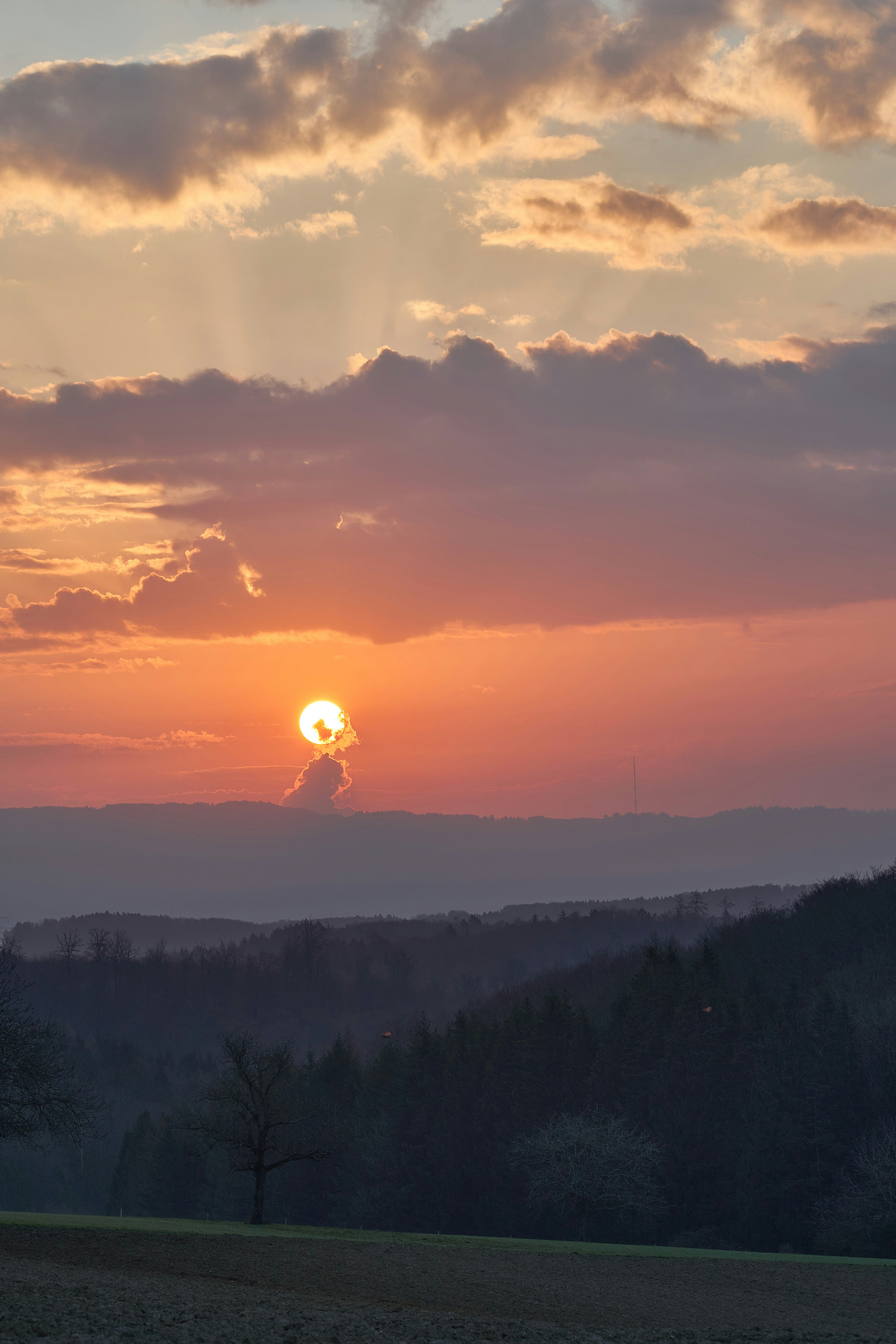 Photo by wolfgang_hasselmann