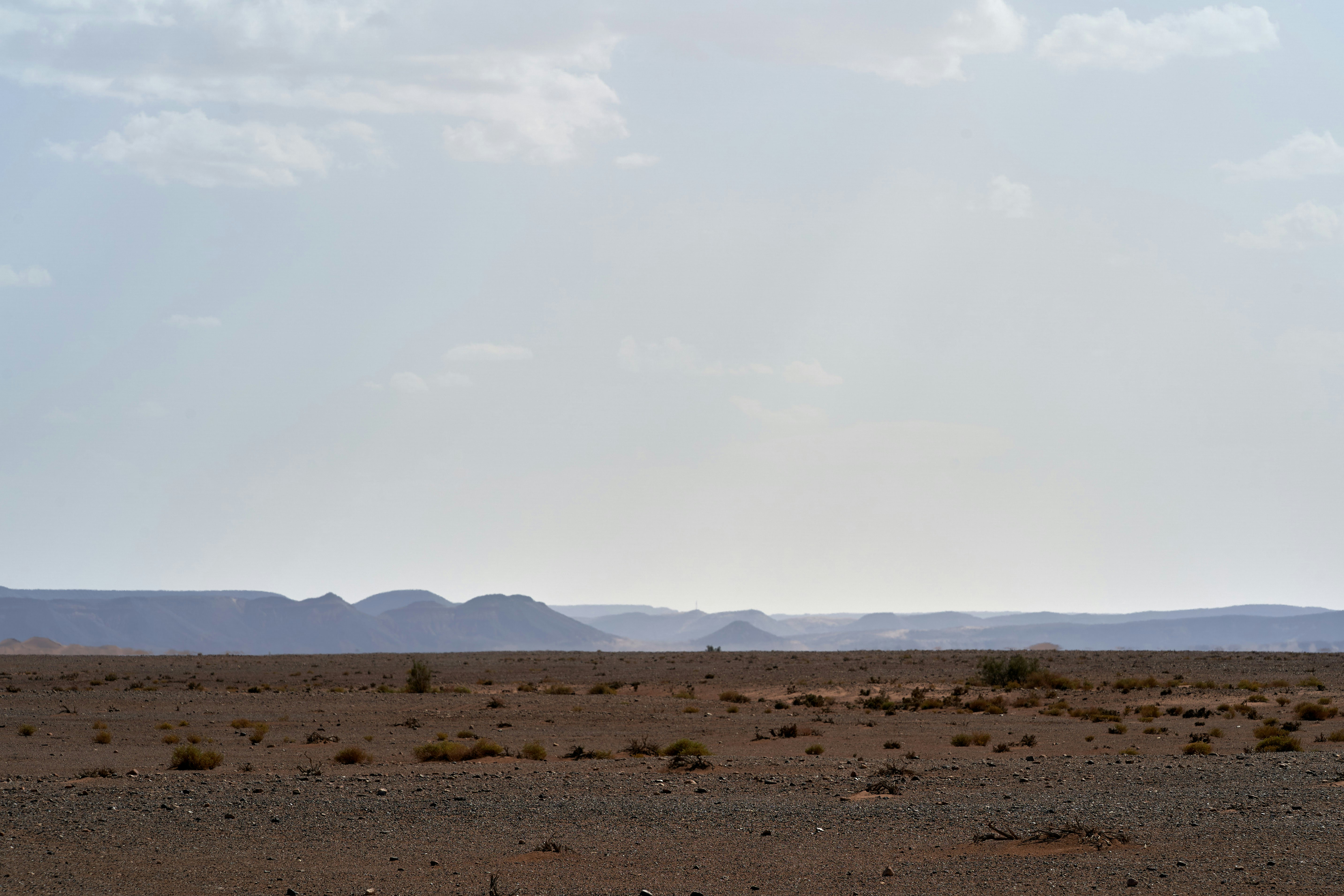 Photo by wolfgang_hasselmann