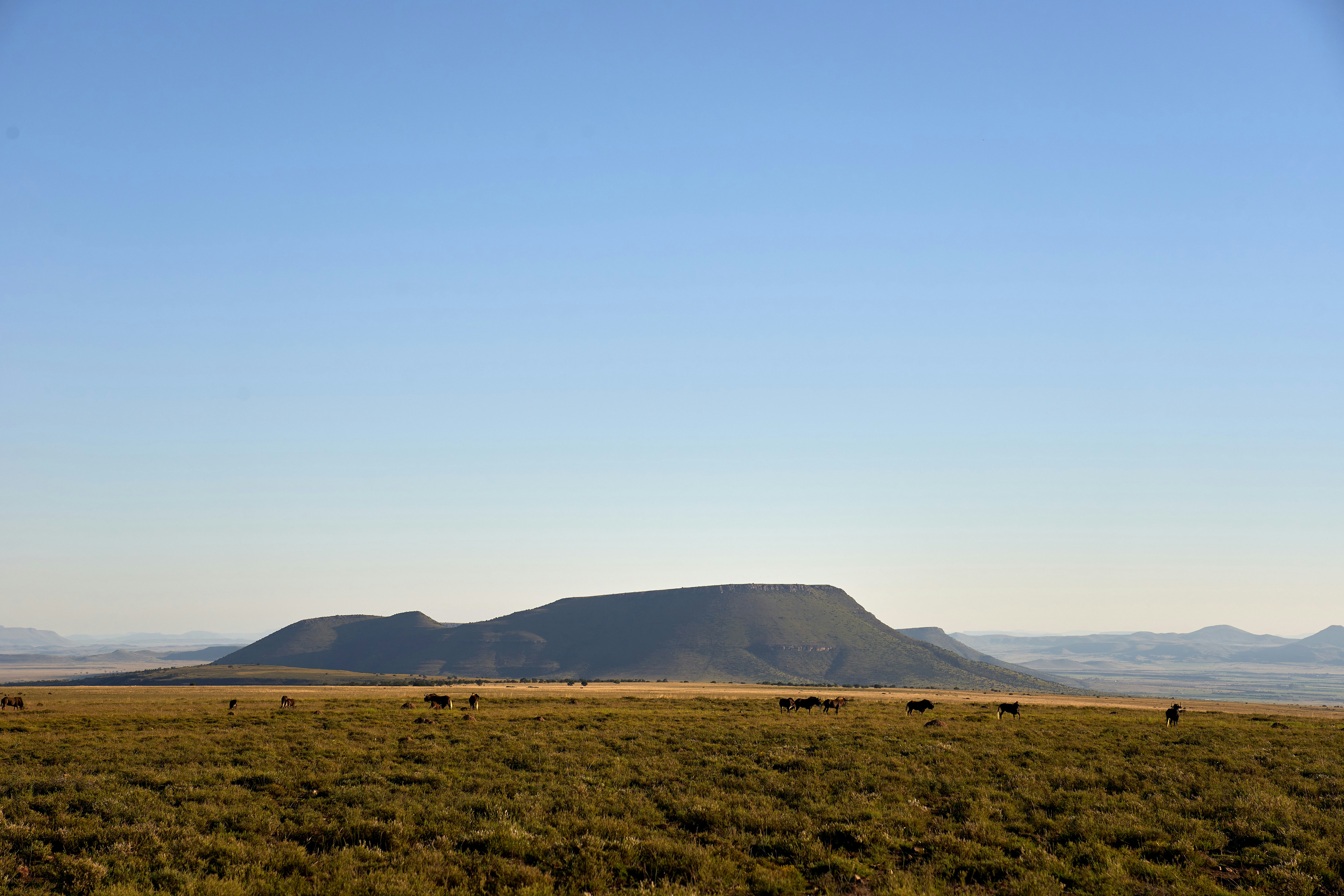 Photo by wolfgang_hasselmann