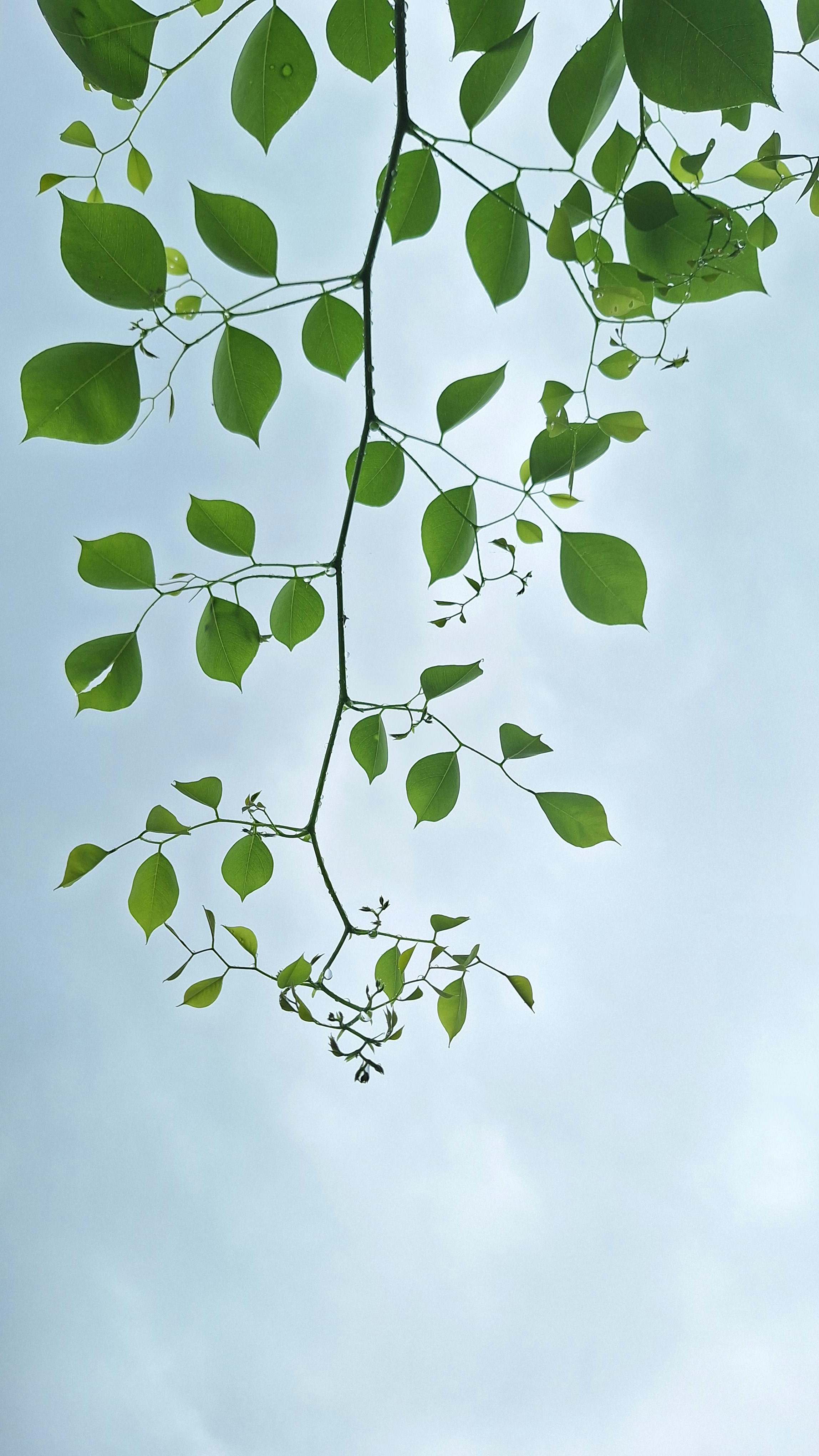 Photo by akshar_2598