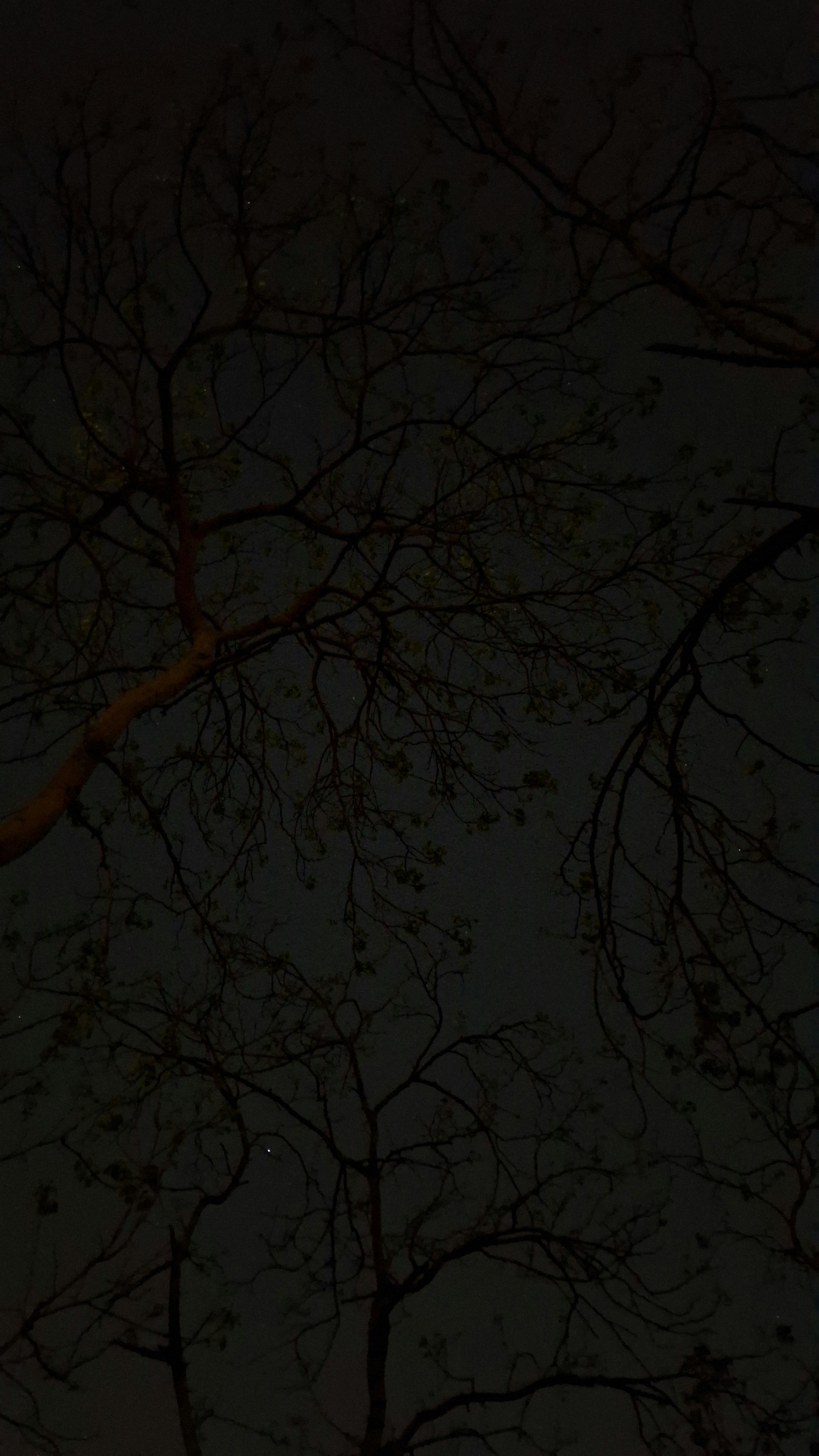 Photo by akshar_2598