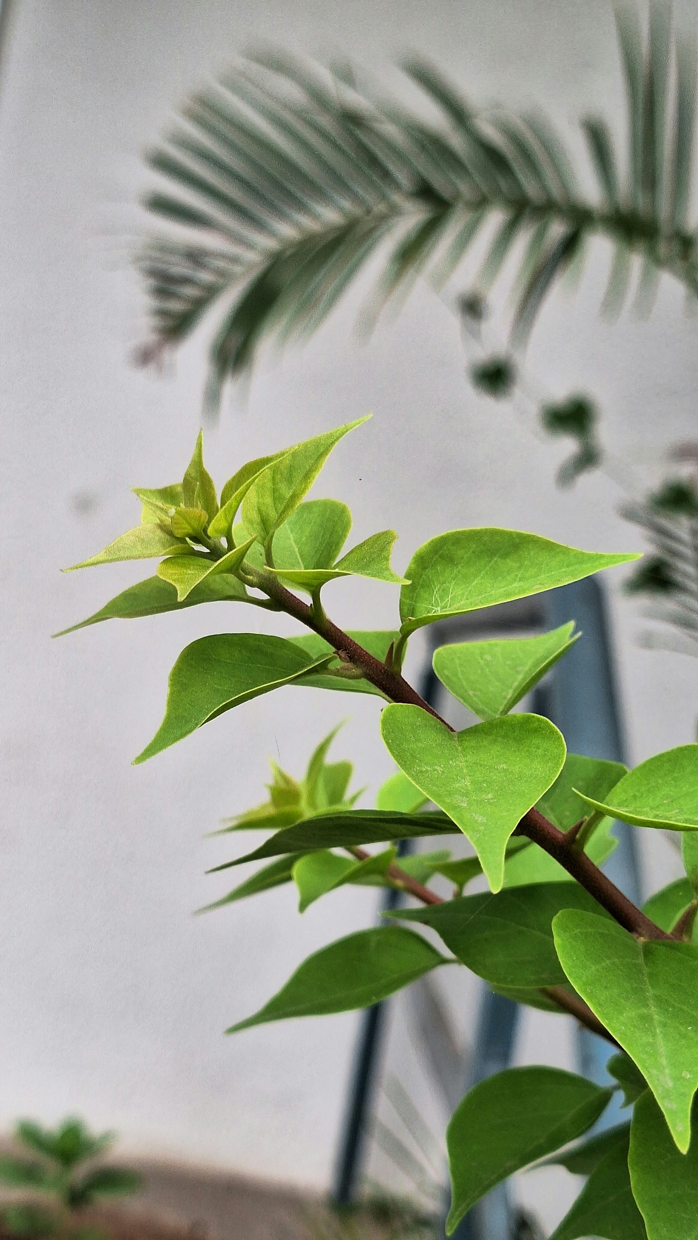 Photo by akshar_2598