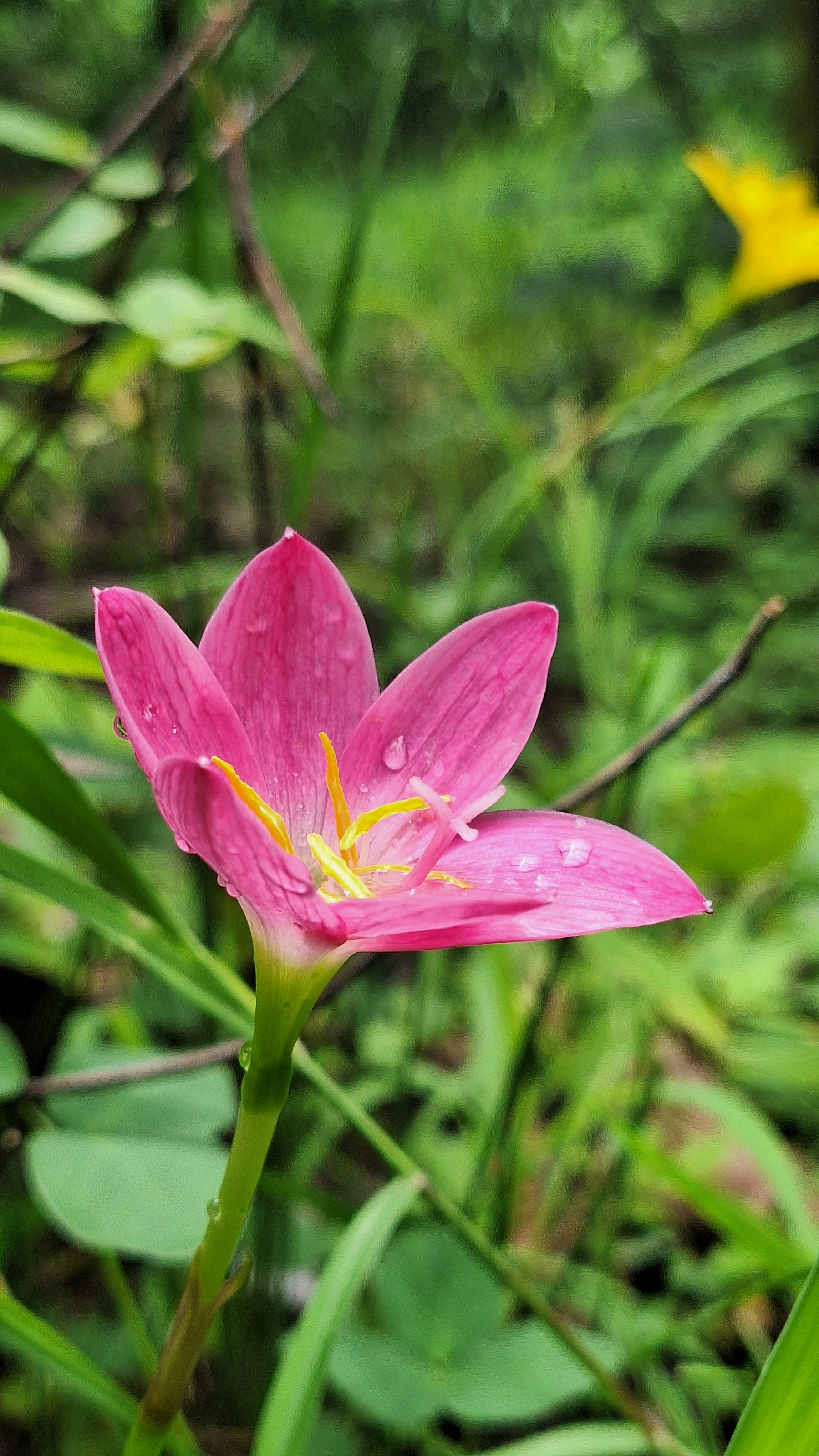 Photo by akshar_2598