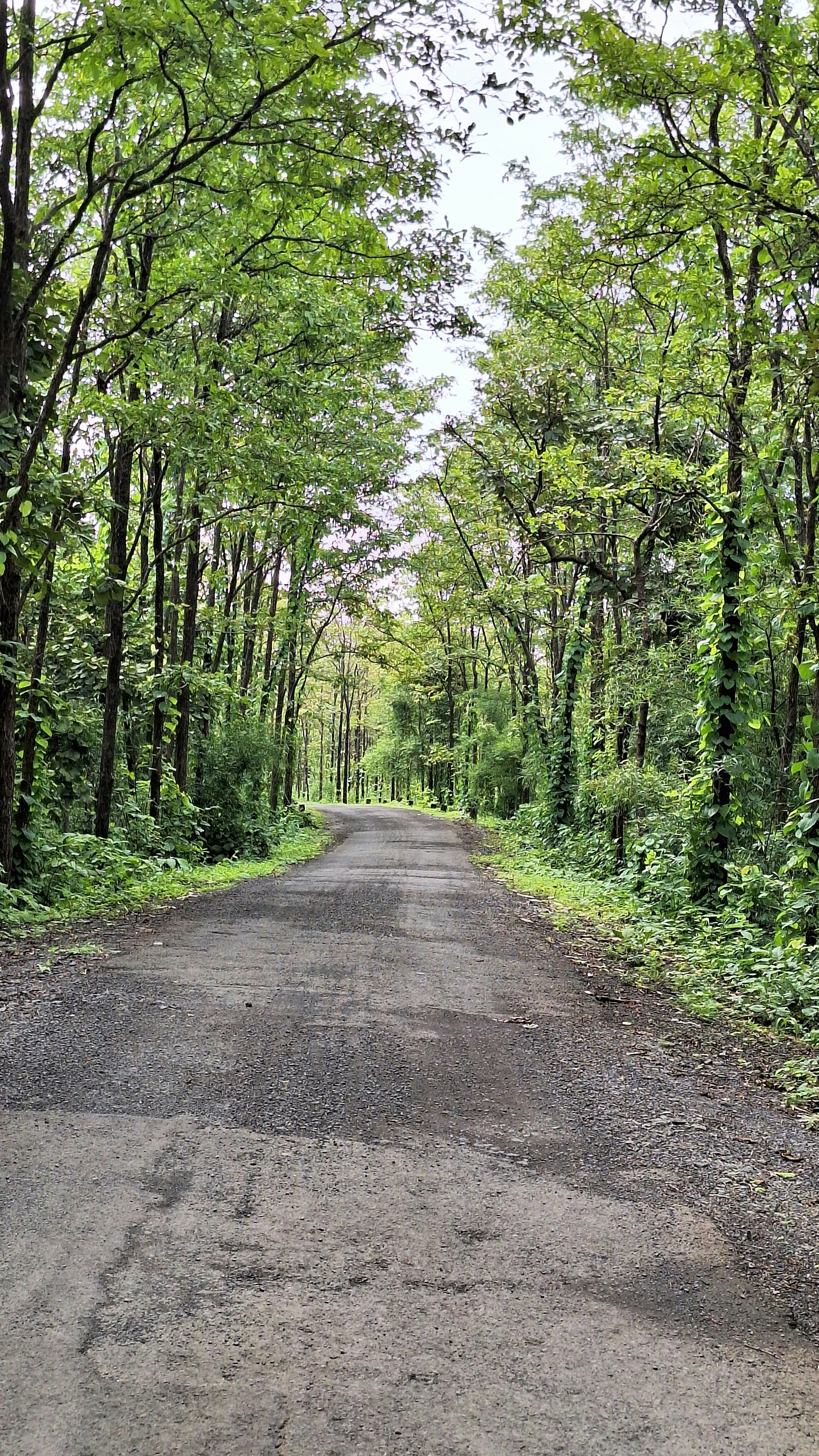 Photo by akshar_2598