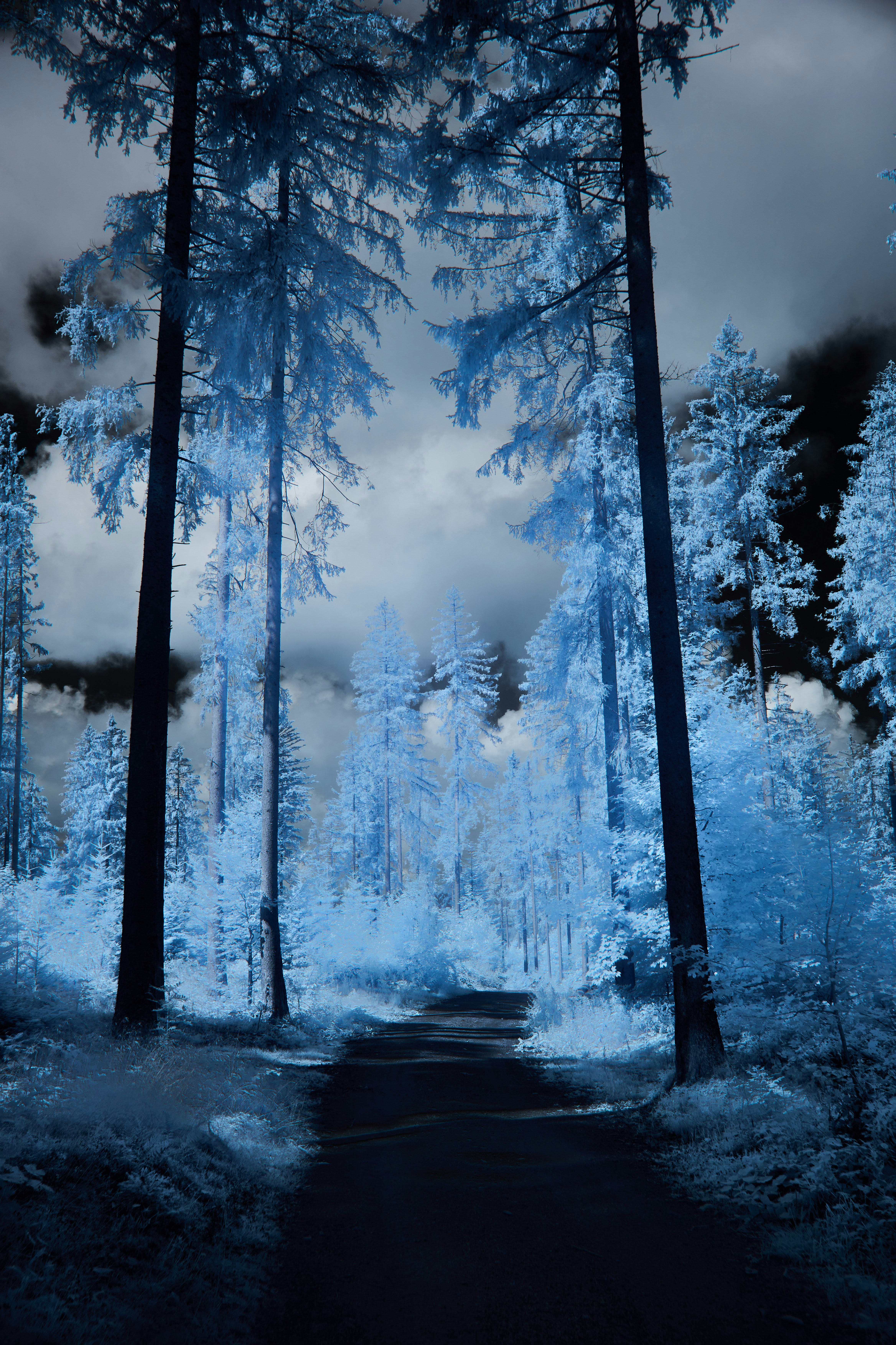 Photo by wolfgang_hasselmann