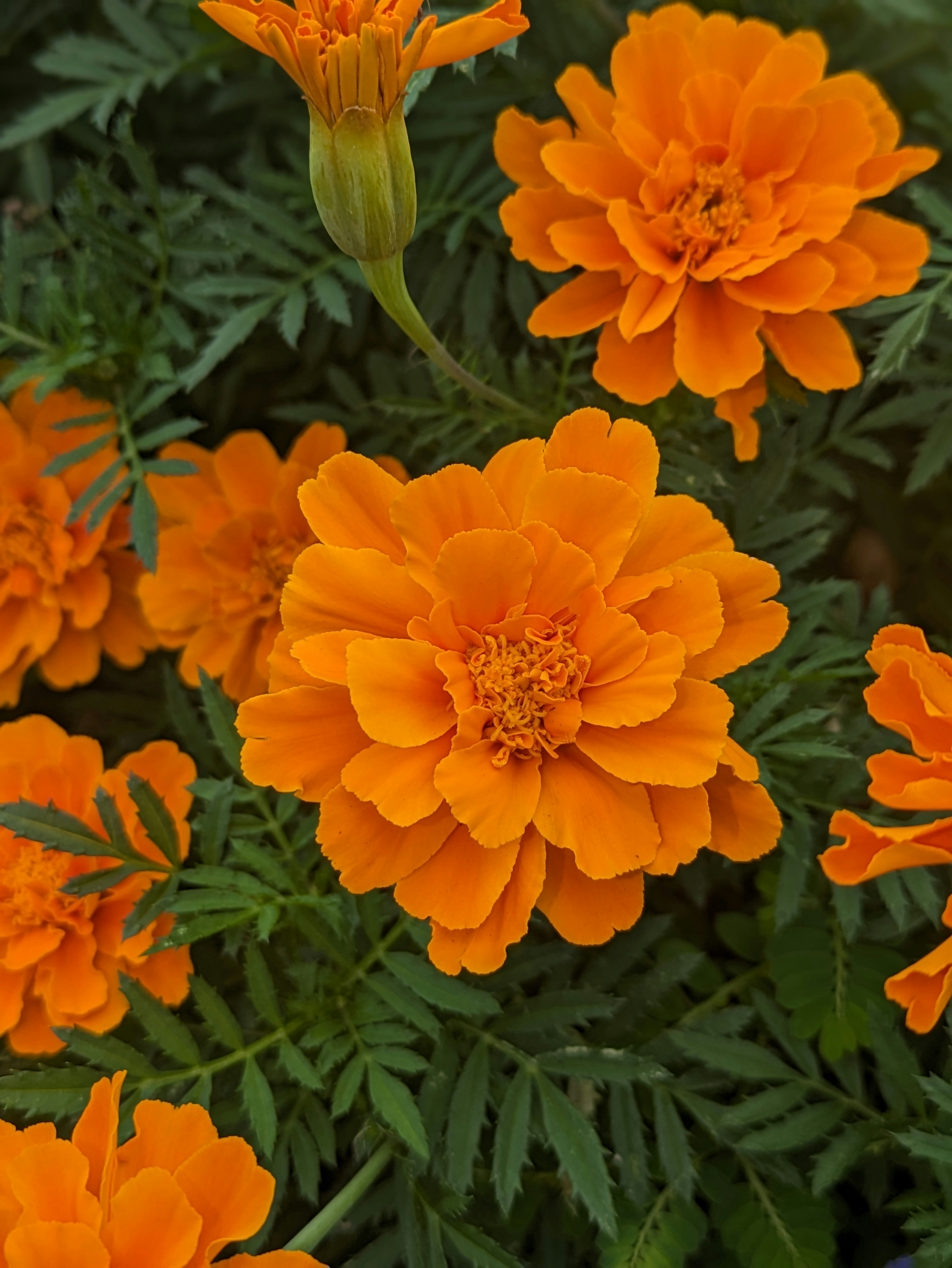 Photo by unbreadedbread