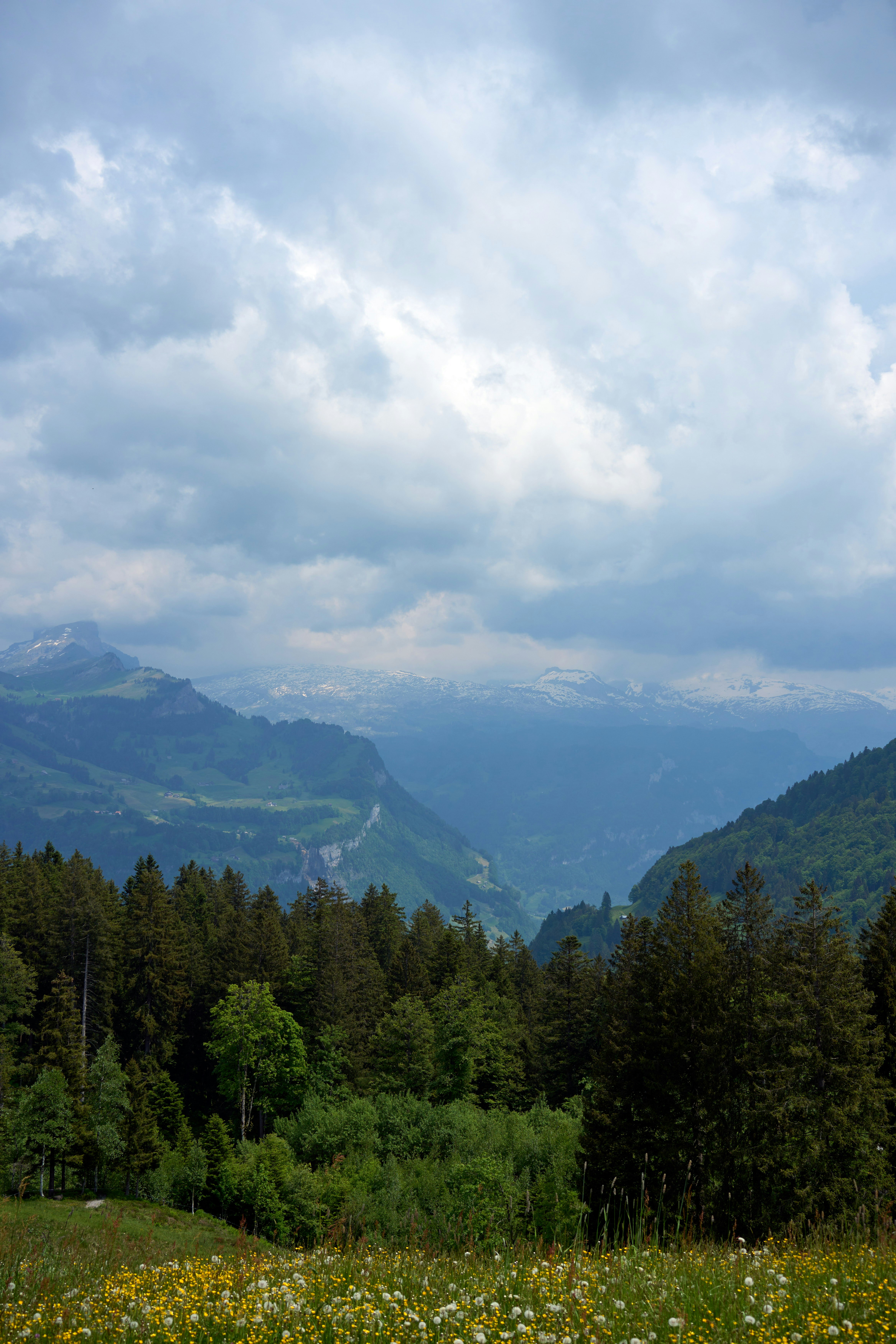 Photo by wolfgang_hasselmann