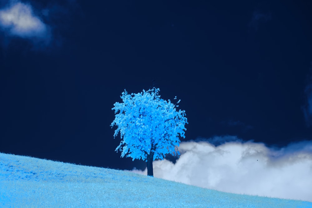 a blue tree in the middle of a blue field