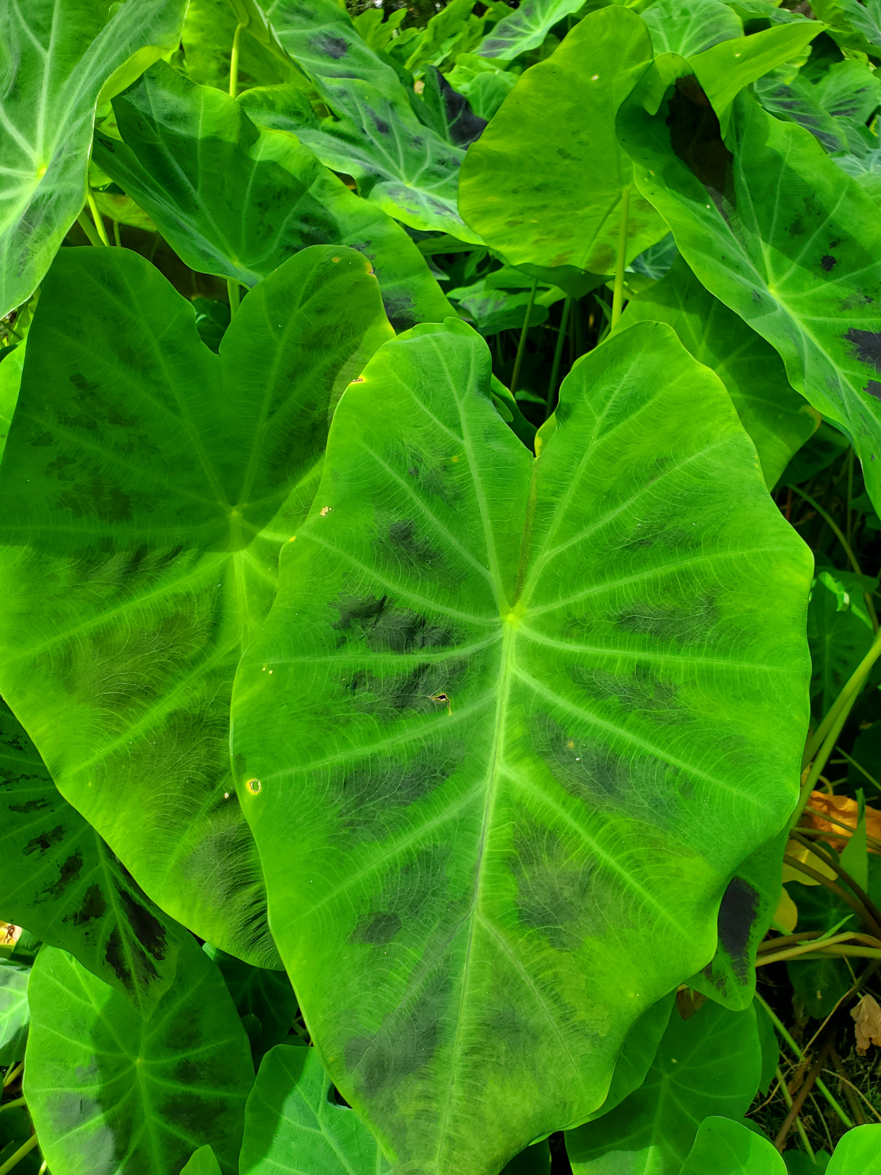 Photo by karolinabobek