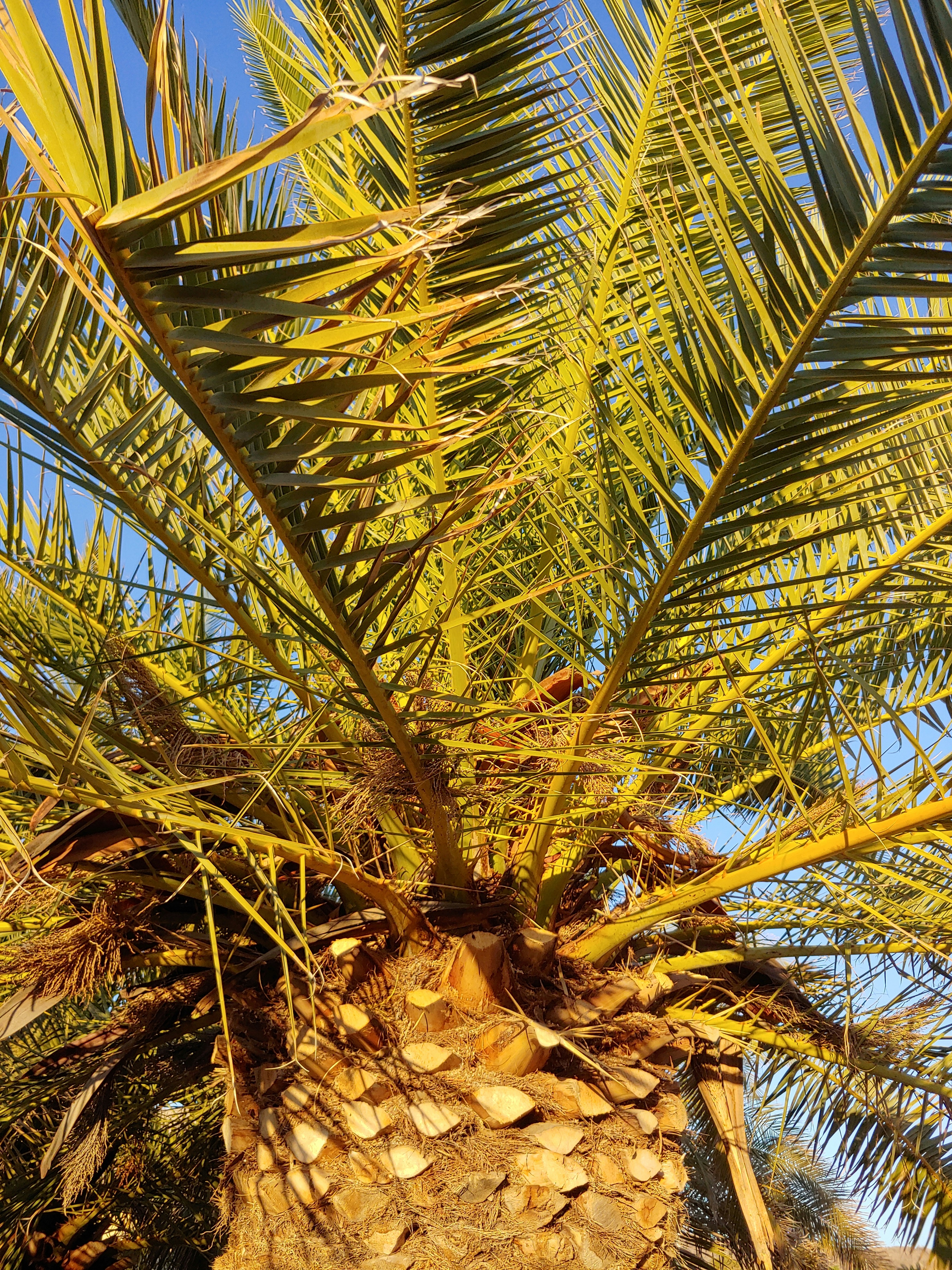 Photo by rachel_atwork