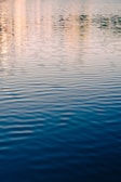 Gentle ripples on a quiet lake reflecting the pastel colors of early morning light.