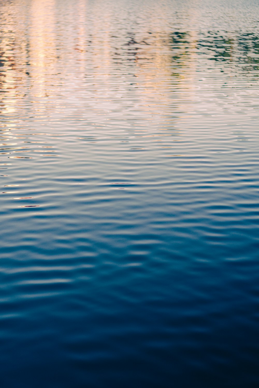 a large body of water with trees in the background