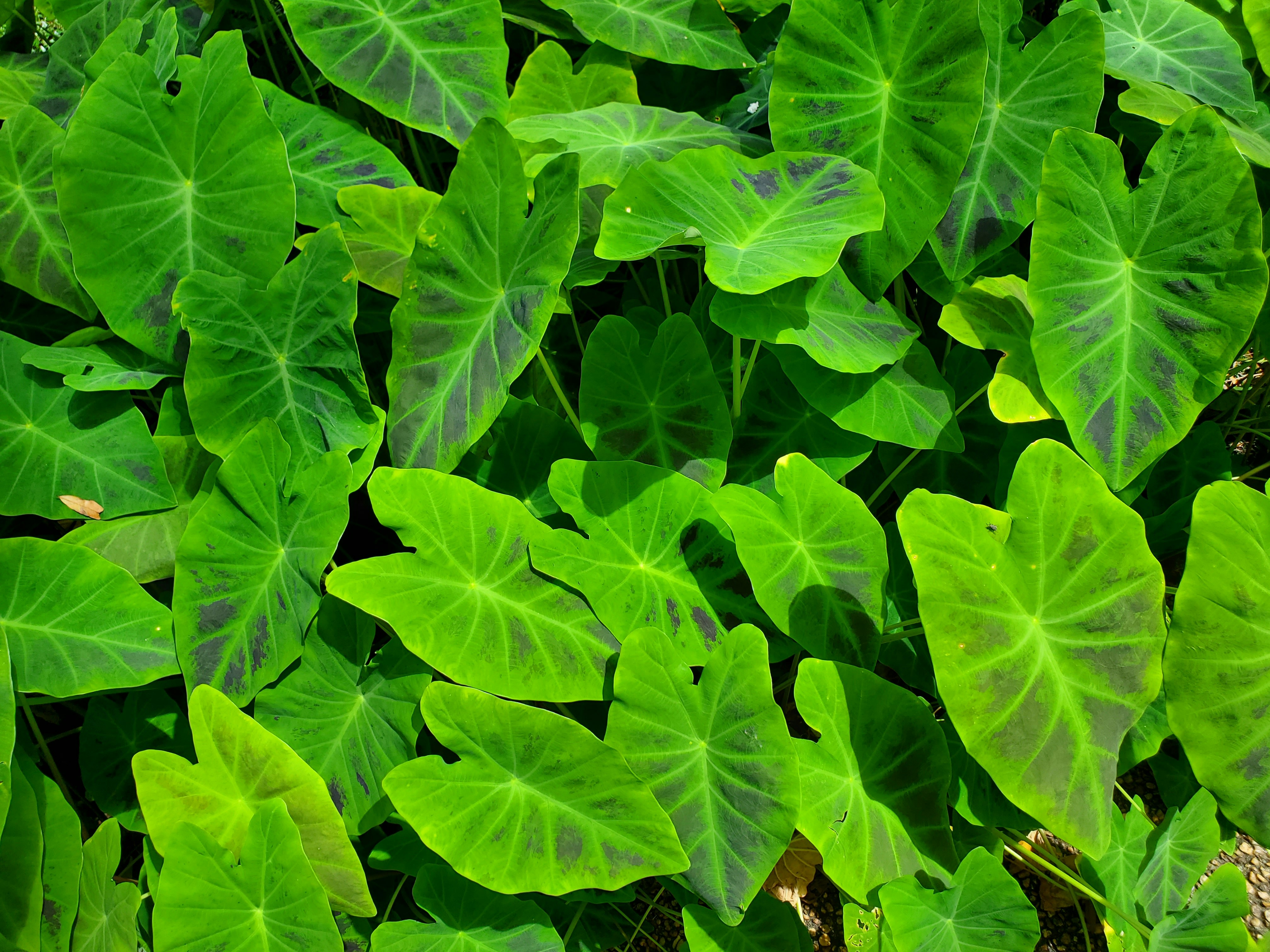 Photo by karolinabobek