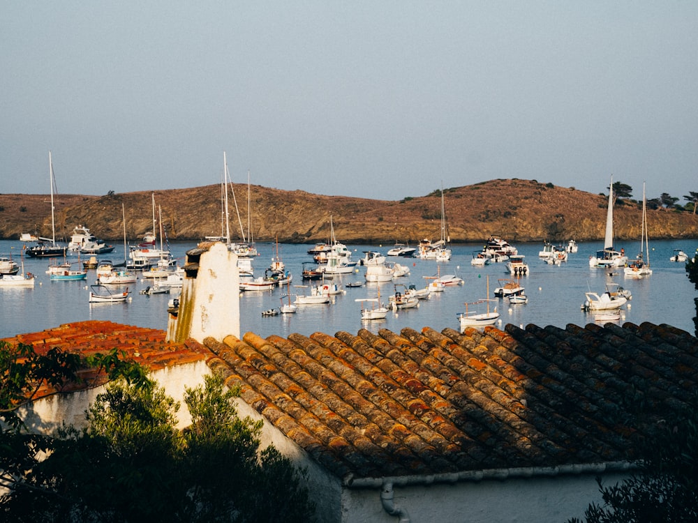 a bunch of boats that are in the water