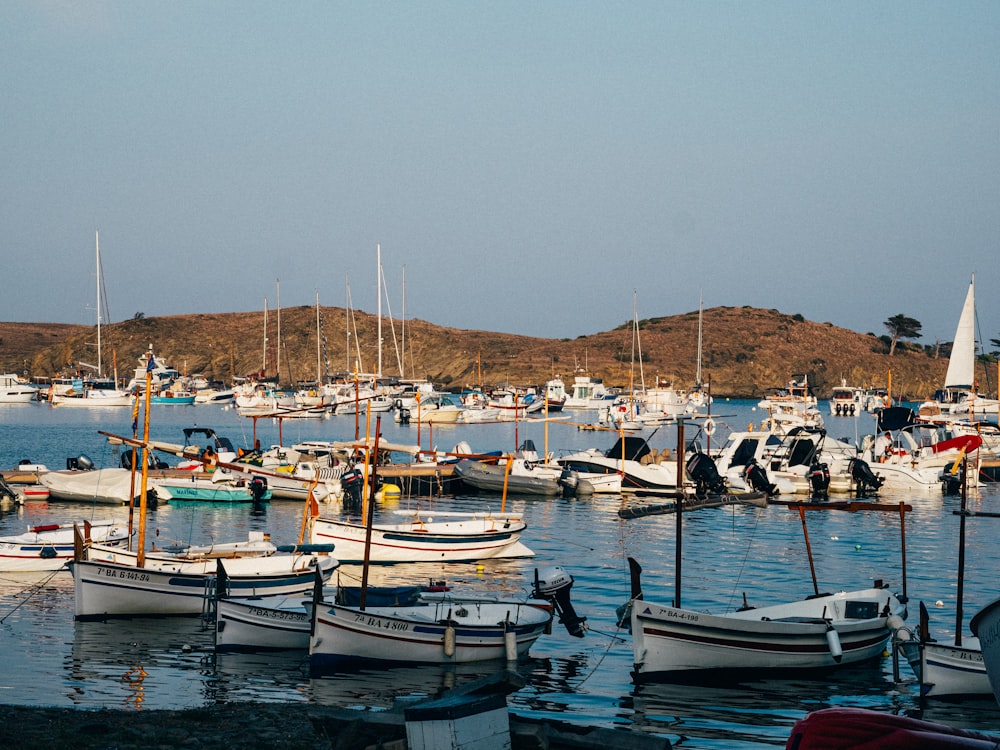 a bunch of boats that are in the water