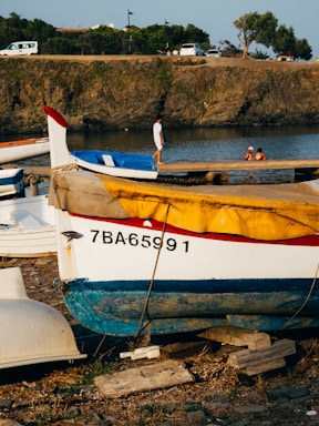 A colorful boat docked on a rocky shore with the registration number 7BA65991. In the background, a calm waterbody with people engaging in swimming activities can be seen. The area is surrounded by lush green trees and a dirt road where some vehicles are parked.