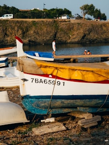 A colorful boat docked on a rocky shore with the registration number 7BA65991. In the background, a calm waterbody with people engaging in swimming activities can be seen. The area is surrounded by lush green trees and a dirt road where some vehicles are parked.
