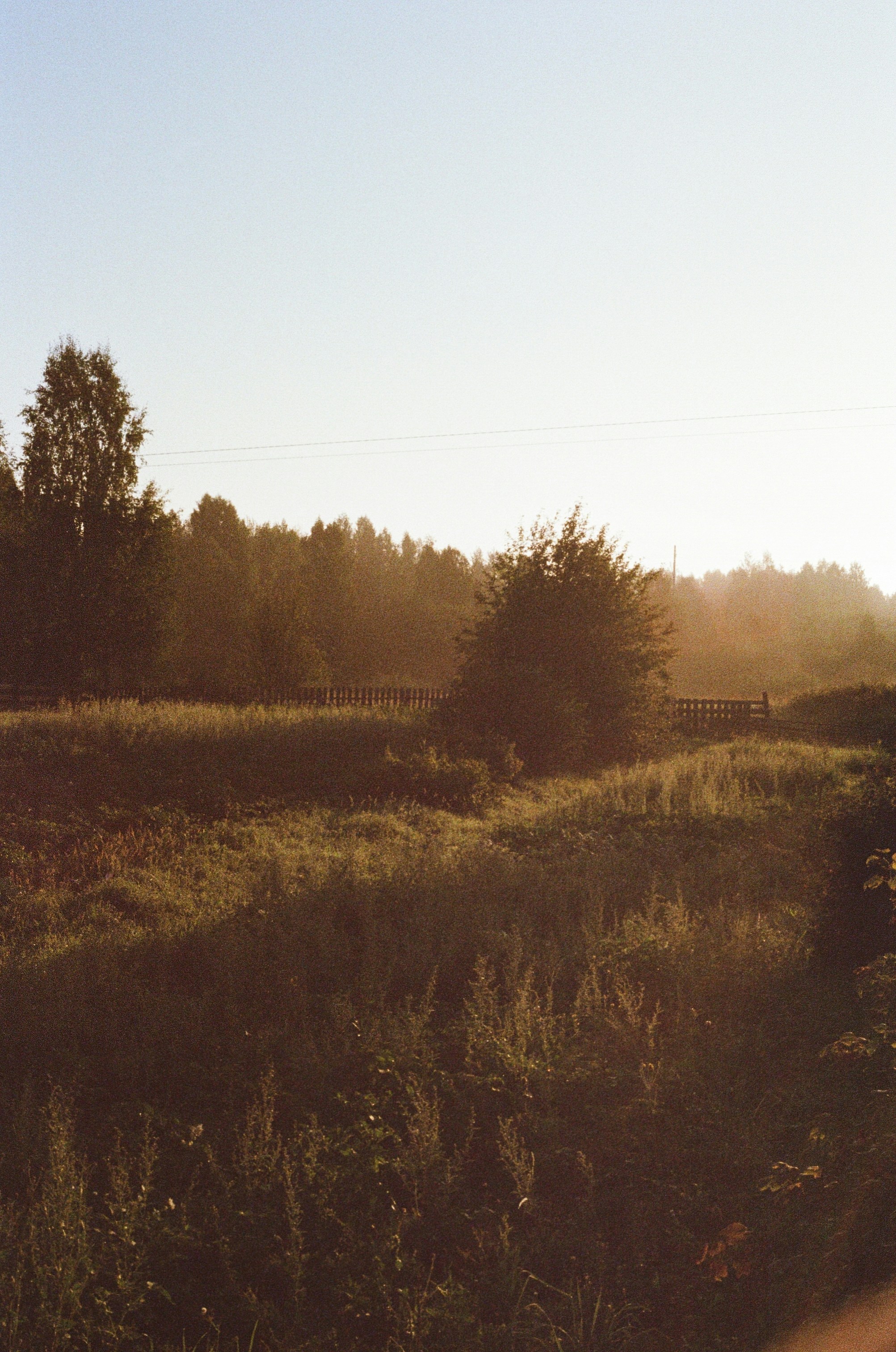 Photo by evilphoton42