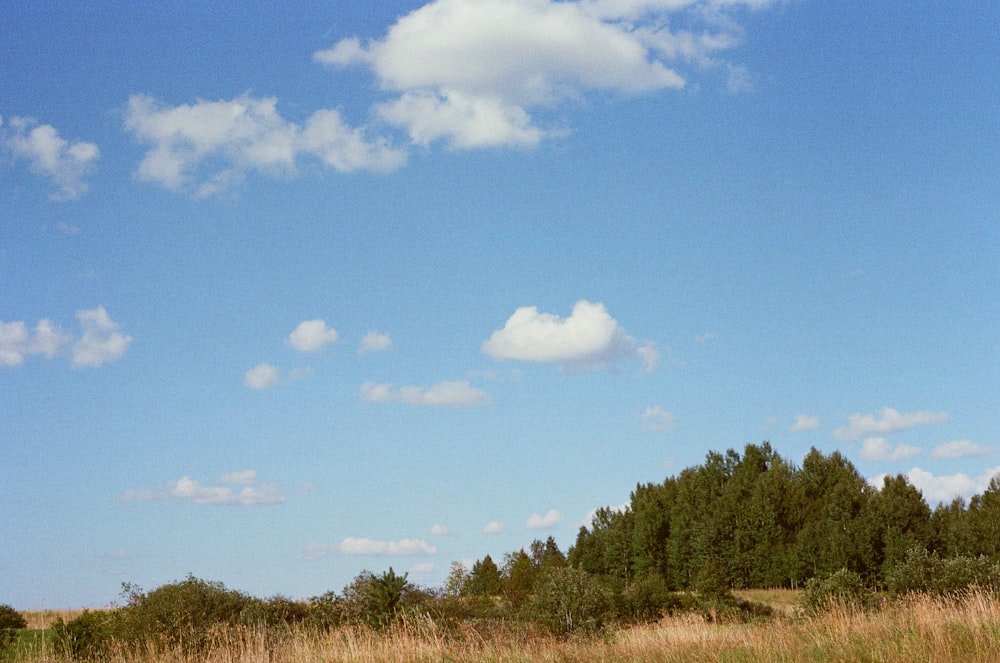 a man is flying a kite in a field