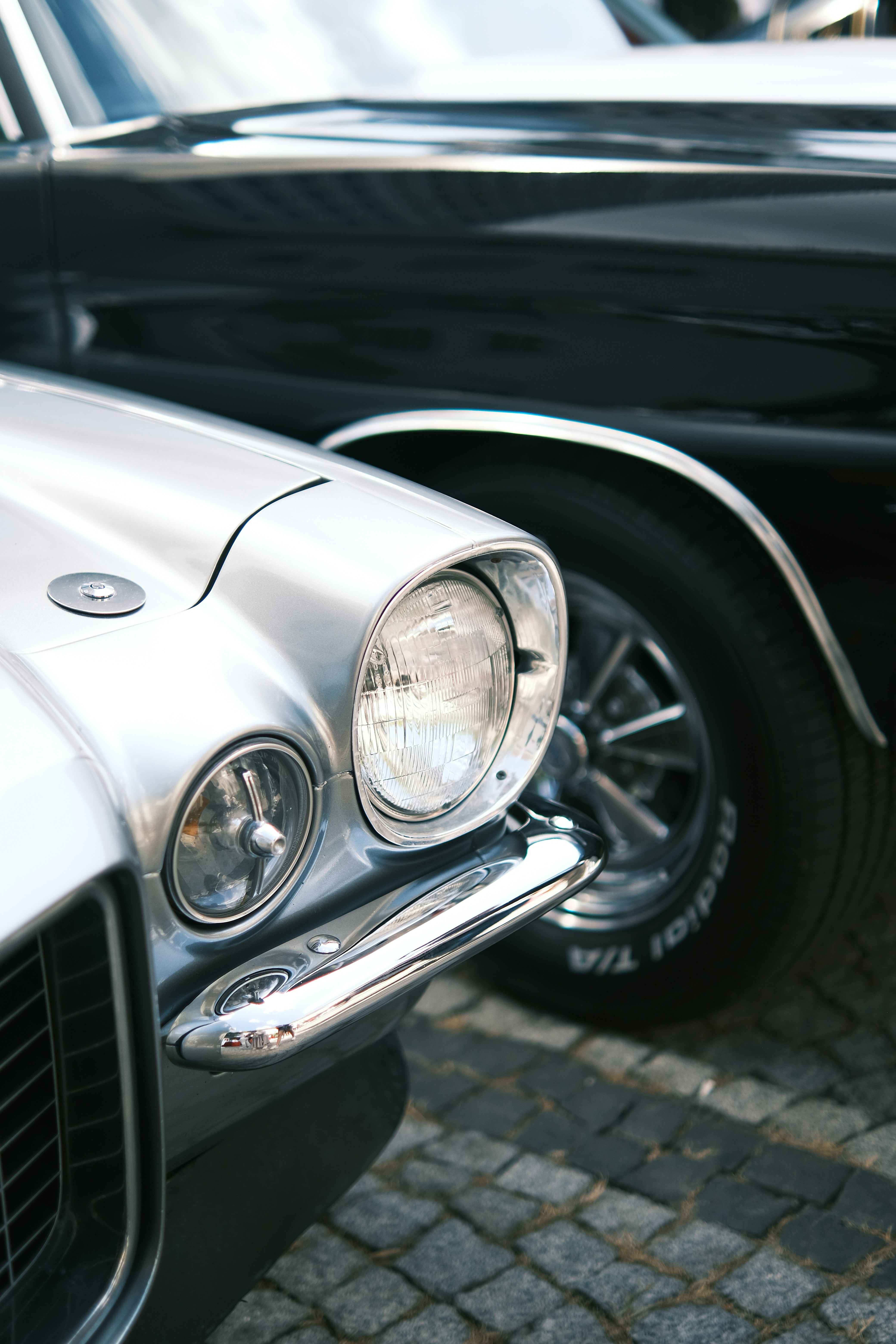 Photo by aliramazanciftci