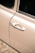 Close-up of a shiny car door with no dents under soft natural light.
