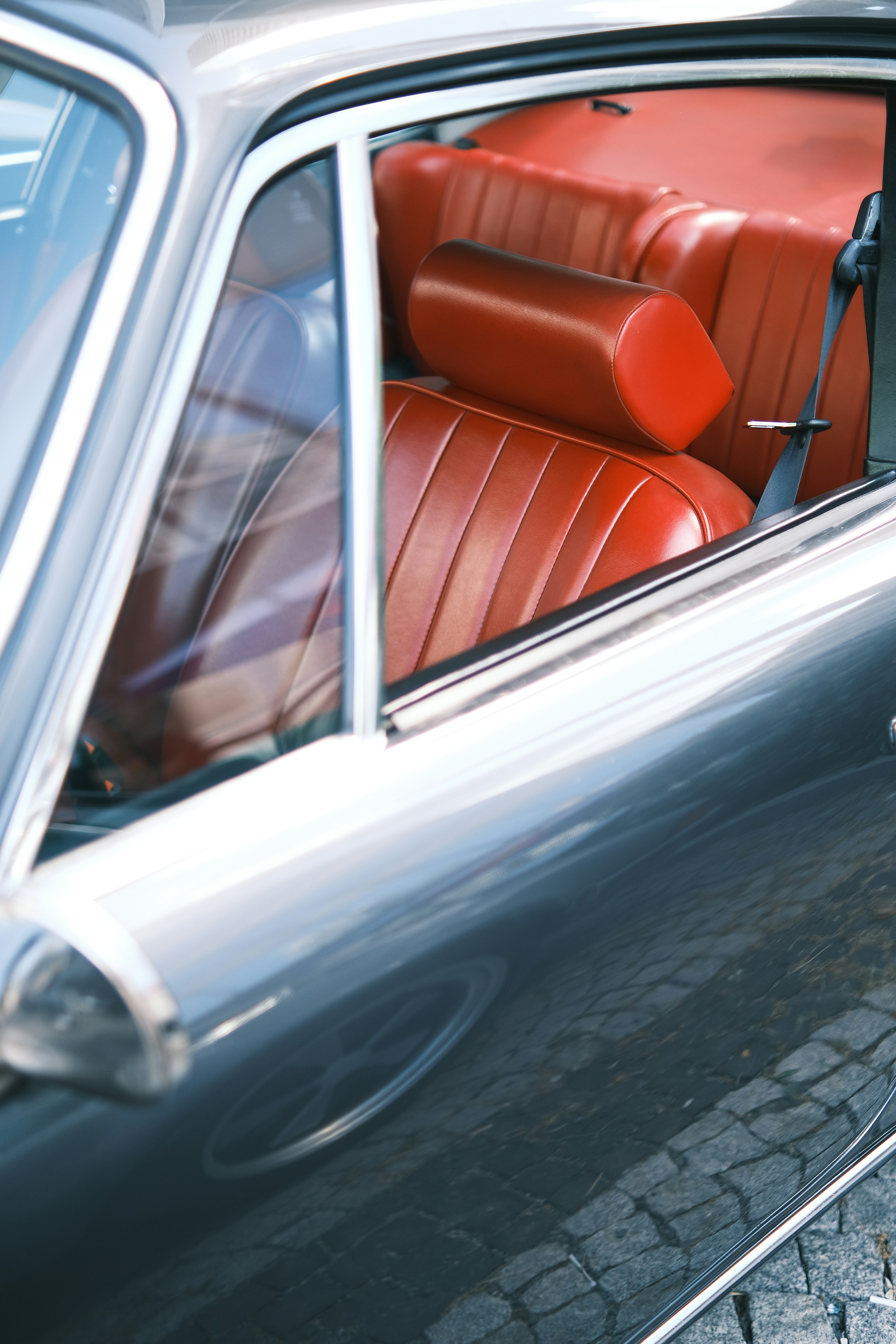 Photo by aliramazanciftci