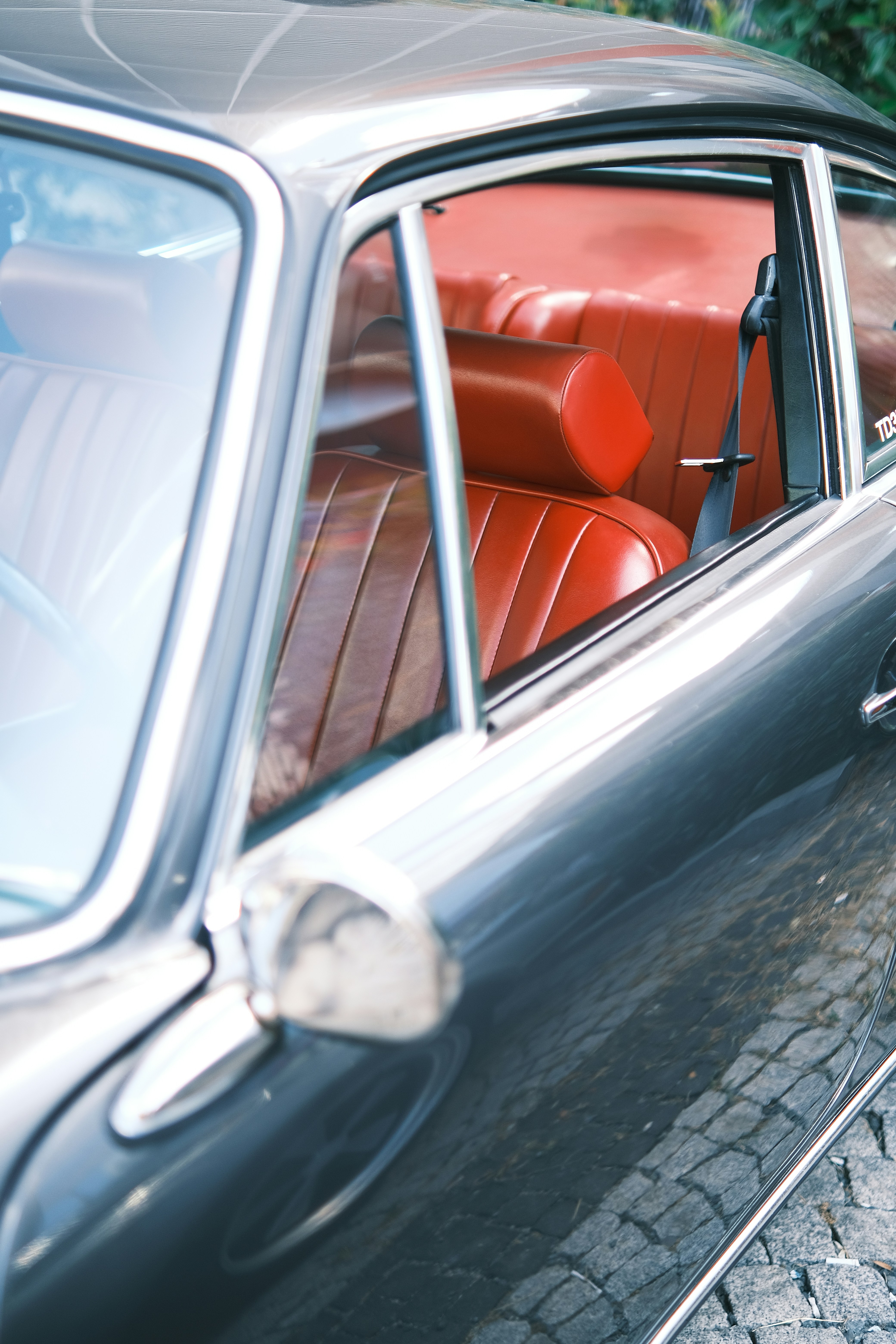 Photo by aliramazanciftci