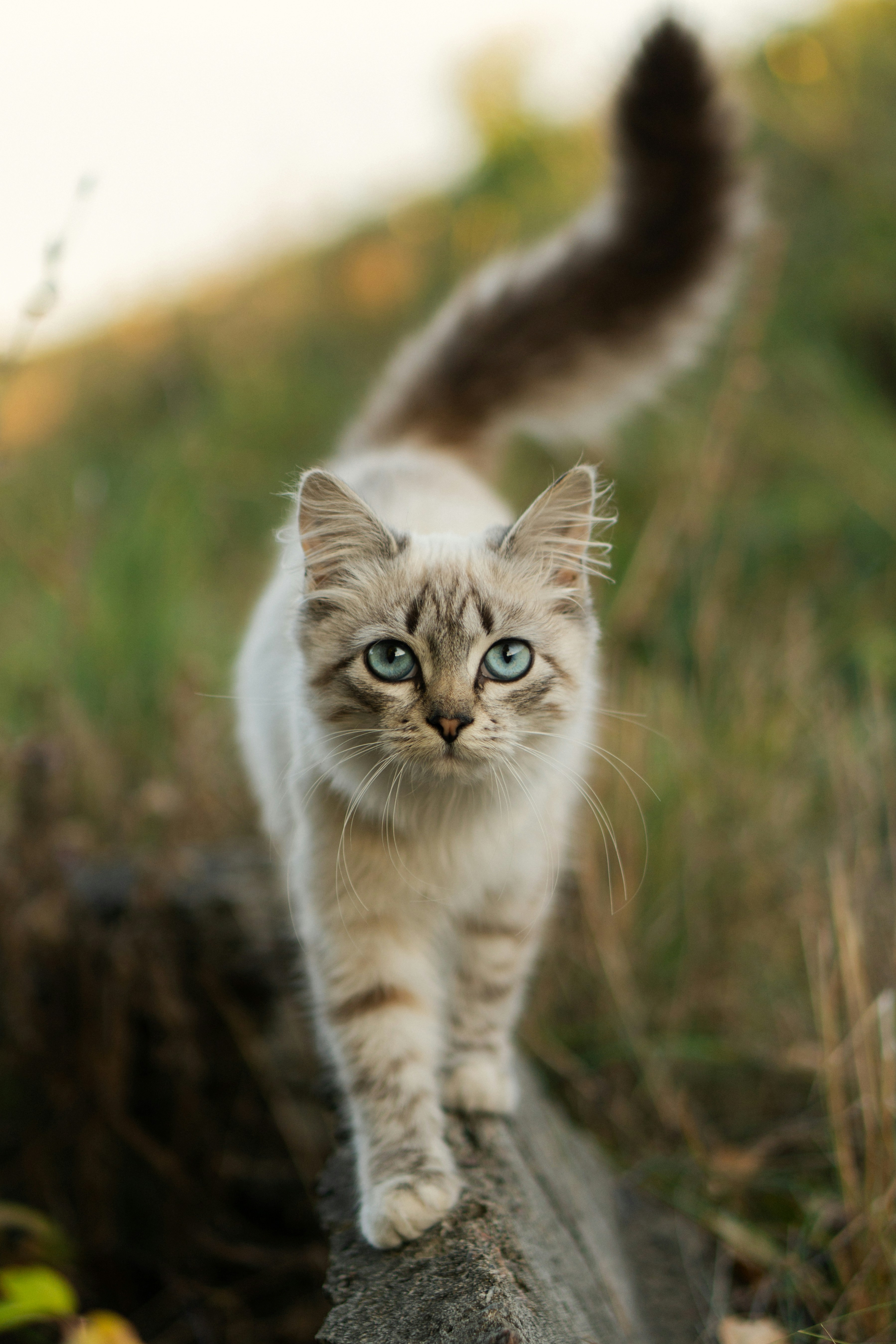 Photo by angrygrandmama