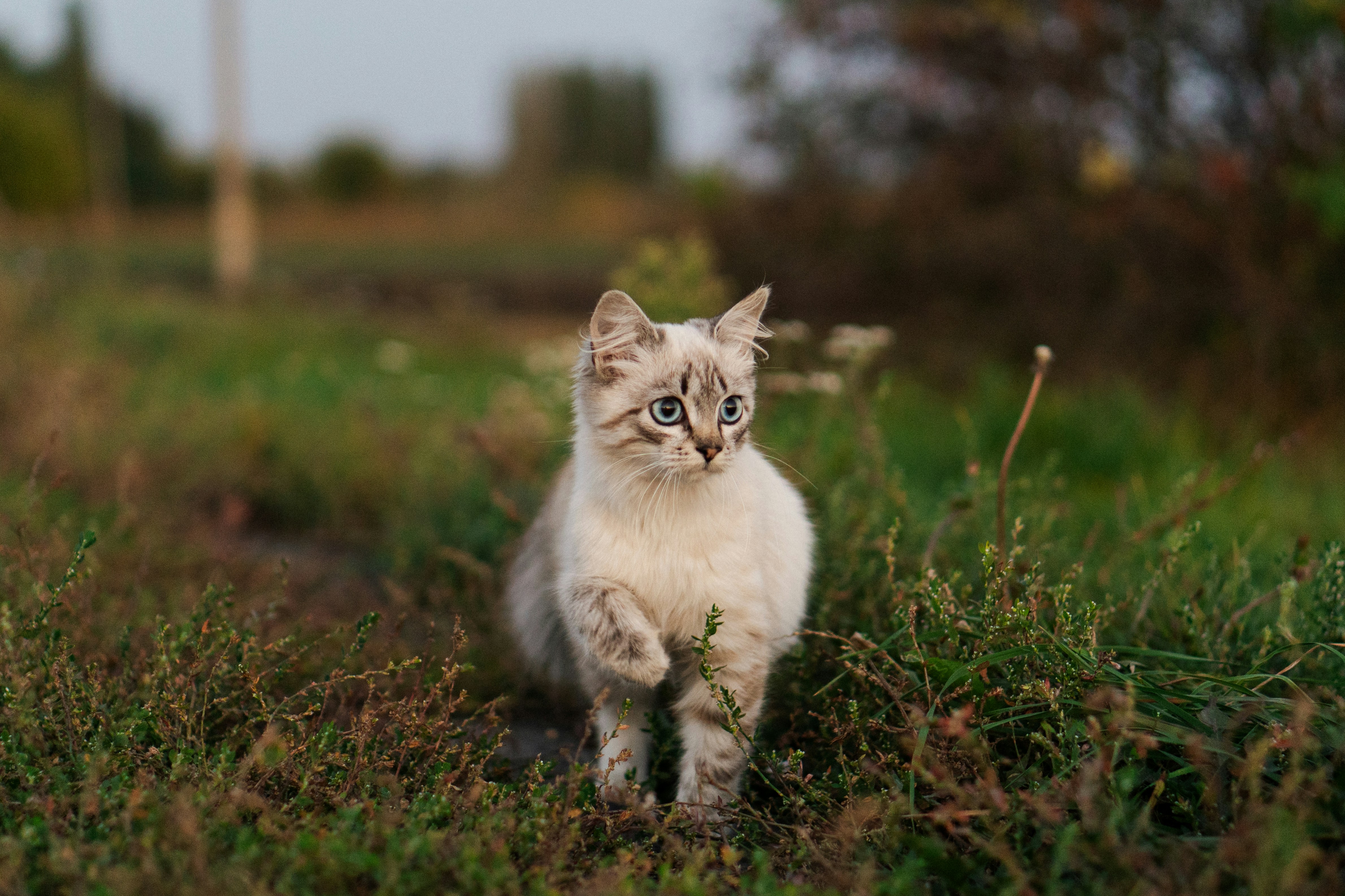 Photo by angrygrandmama