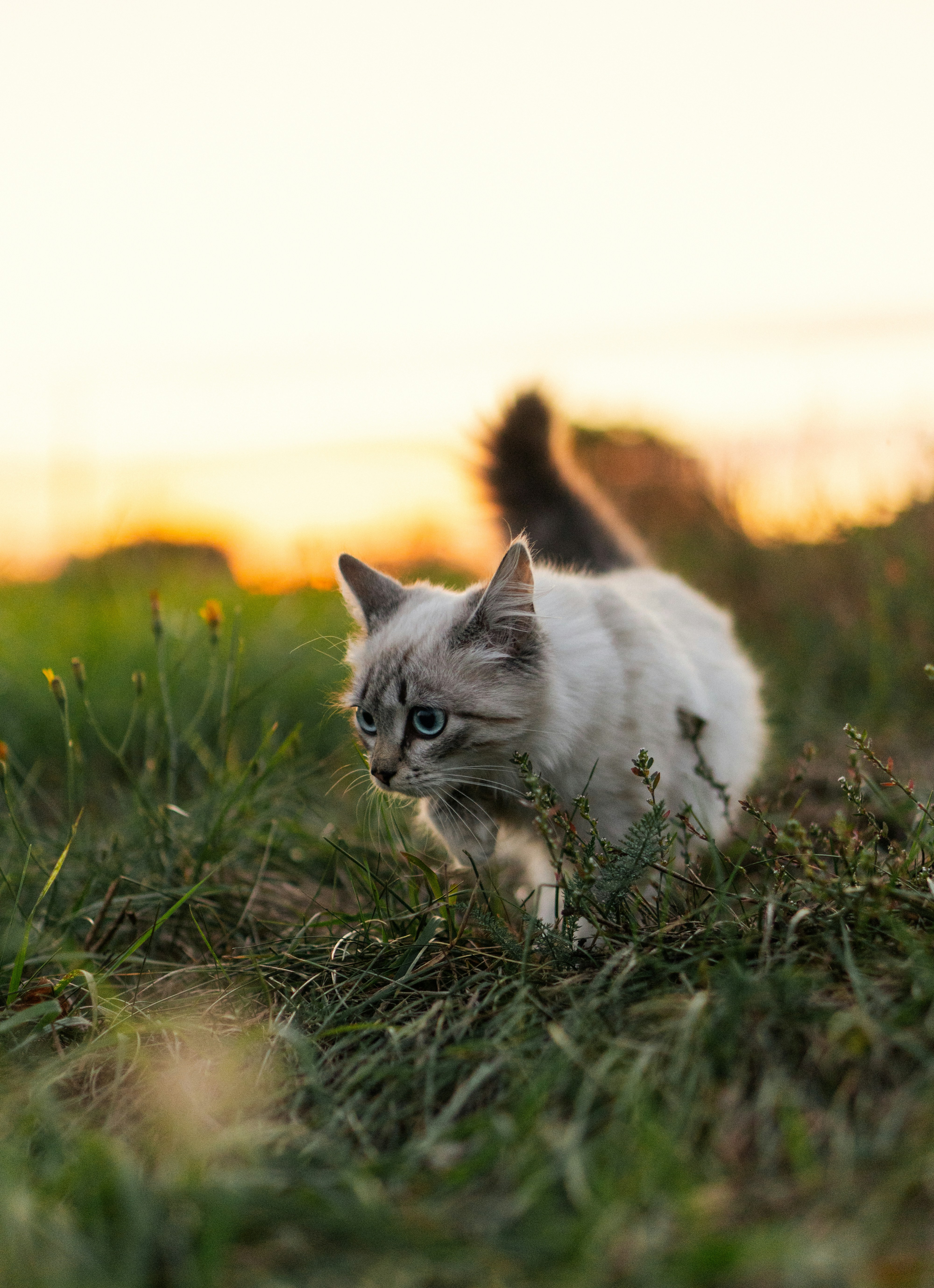 Photo by angrygrandmama