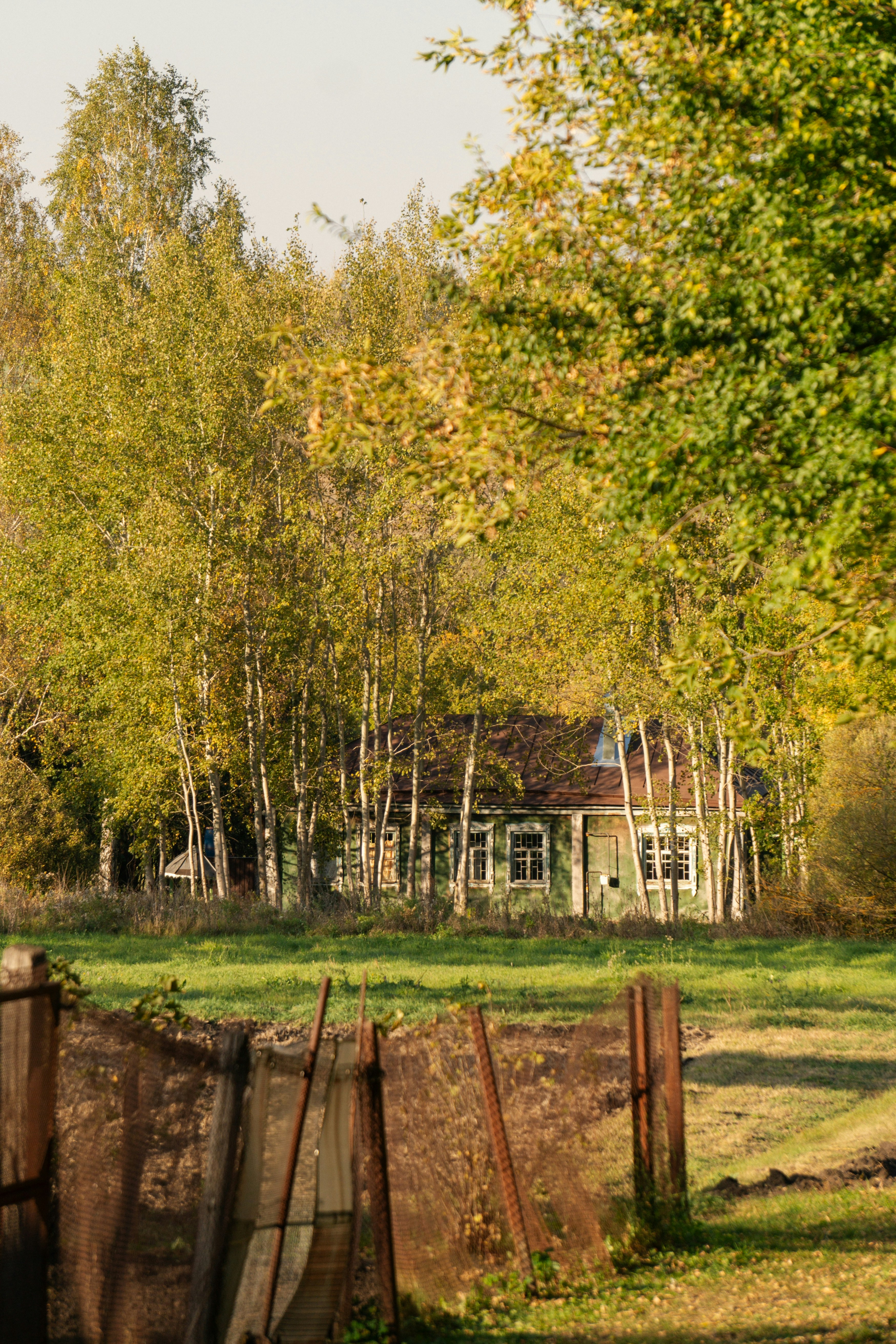 Photo by angrygrandmama