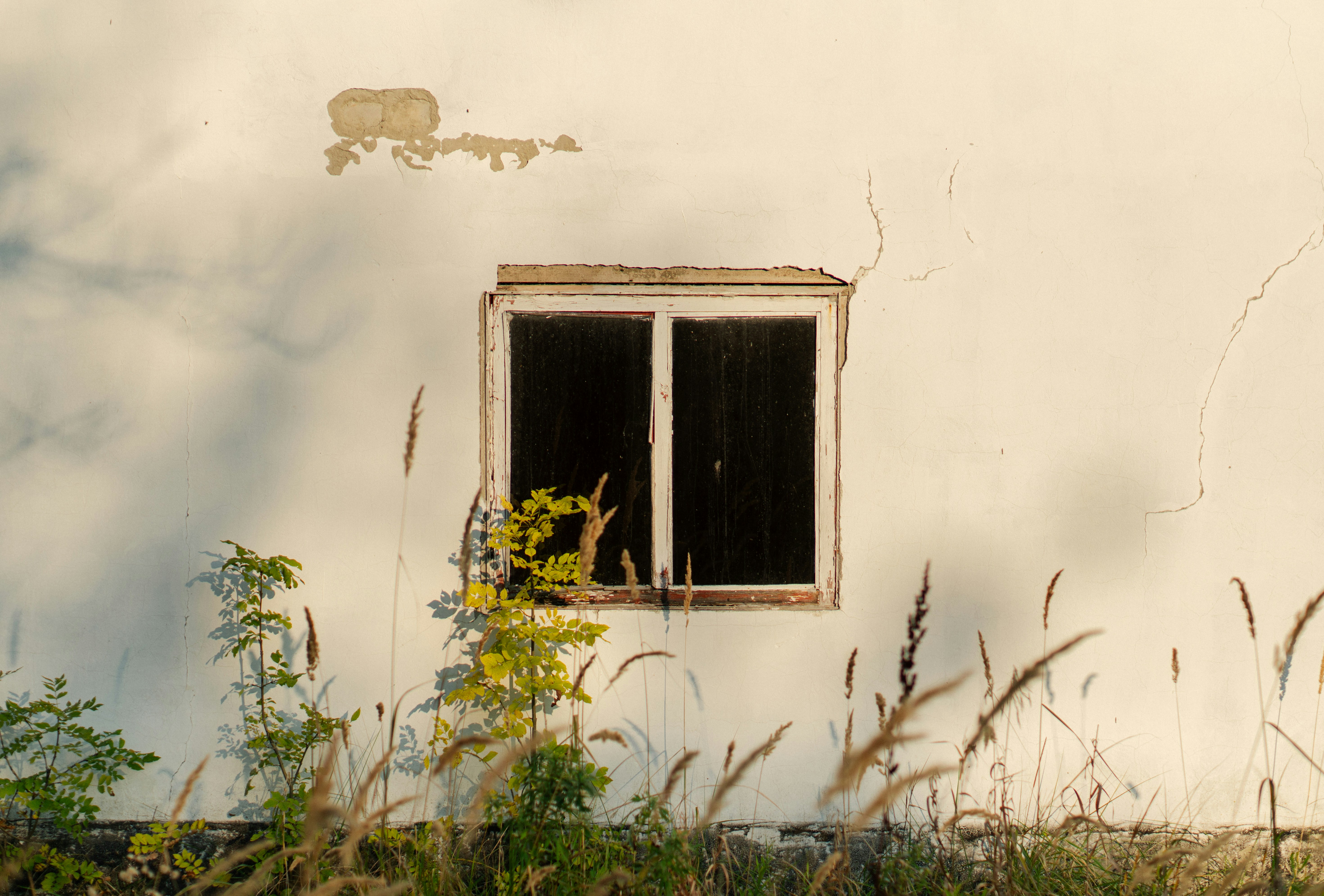 Photo by angrygrandmama