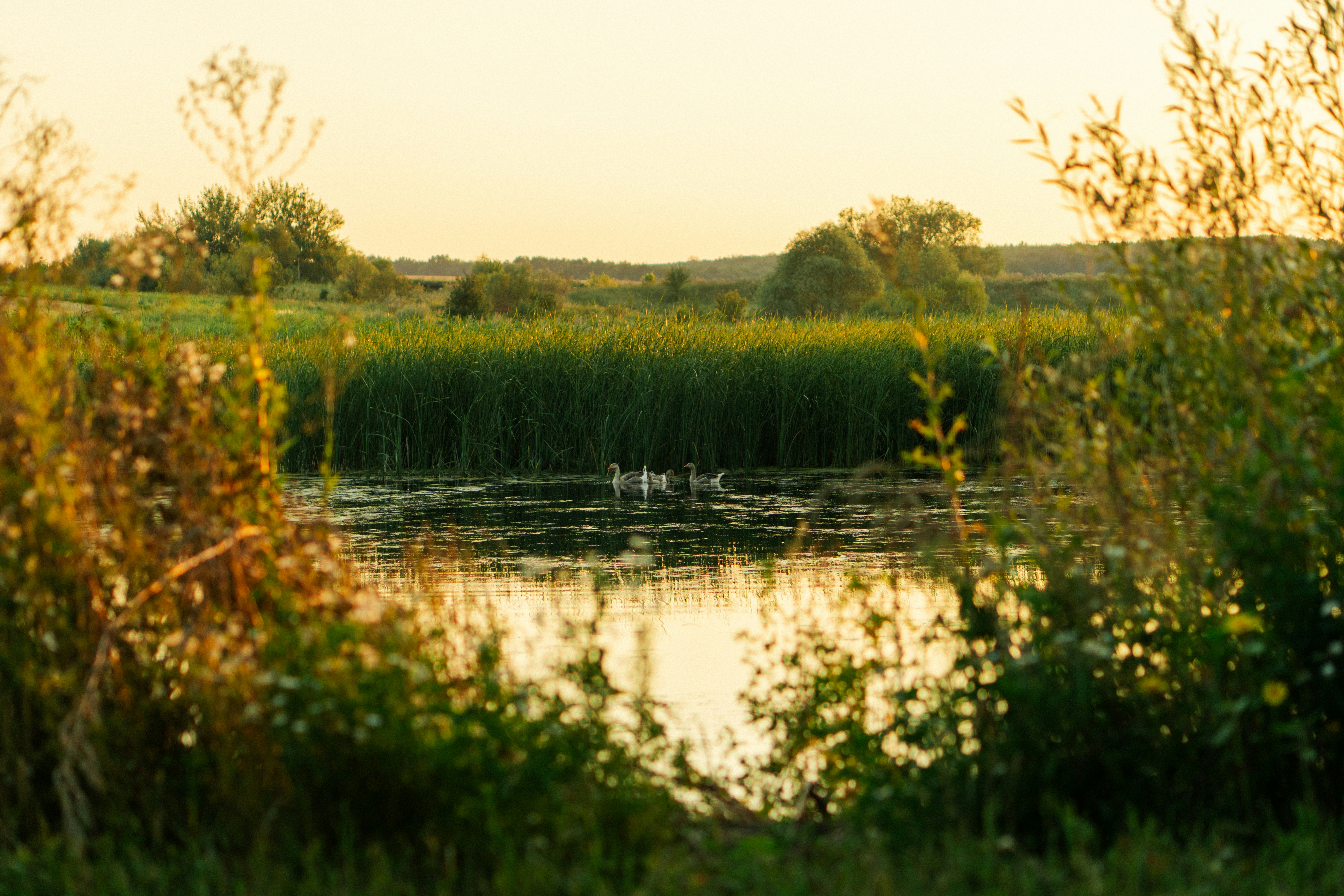 Photo by angrygrandmama