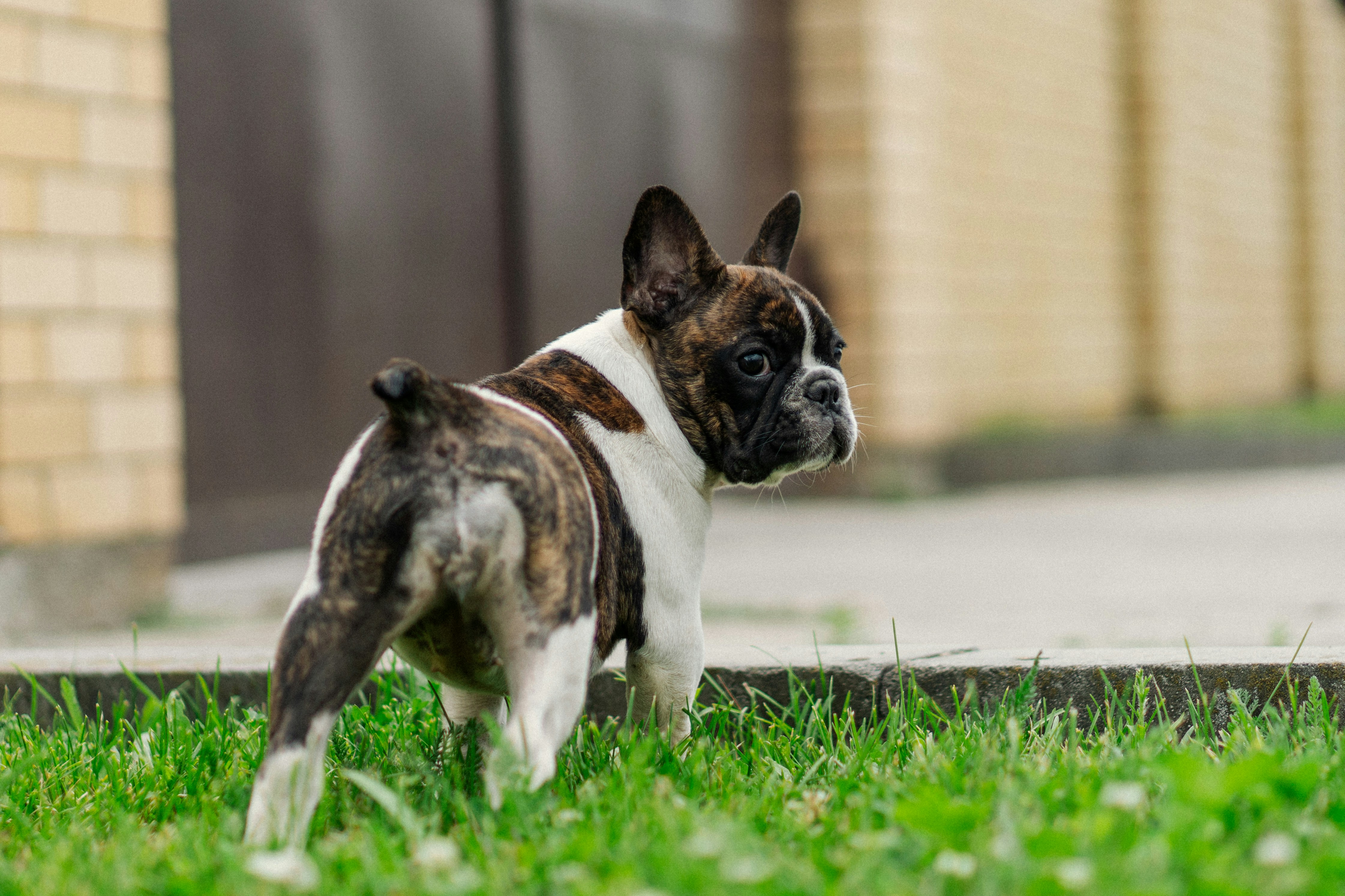 Photo by angrygrandmama